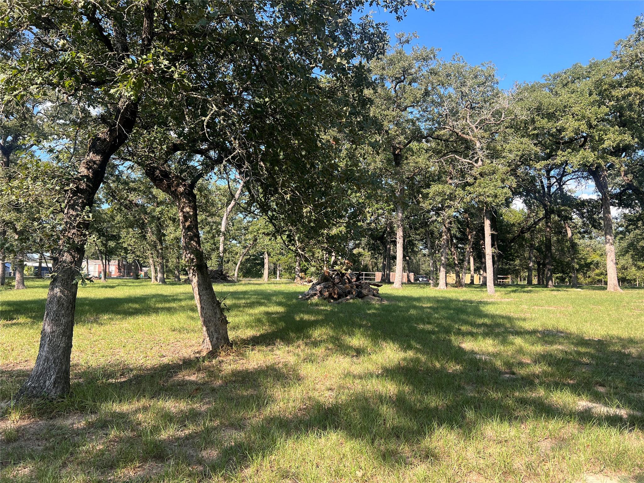 1.921 AC Cardinal Rd, Caldwell, TX 77836