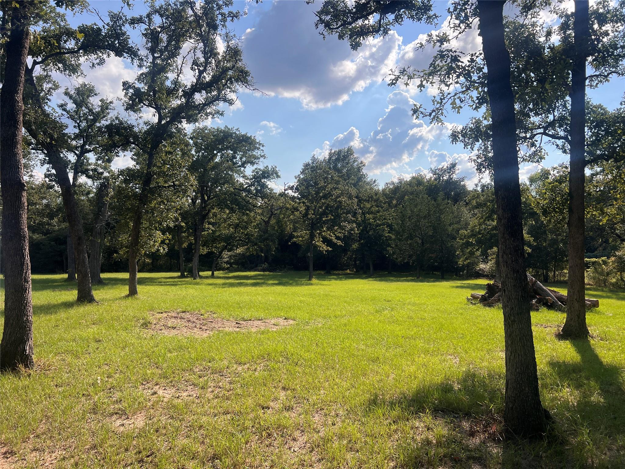 1.921 AC Cardinal Rd, Caldwell, TX 77836
