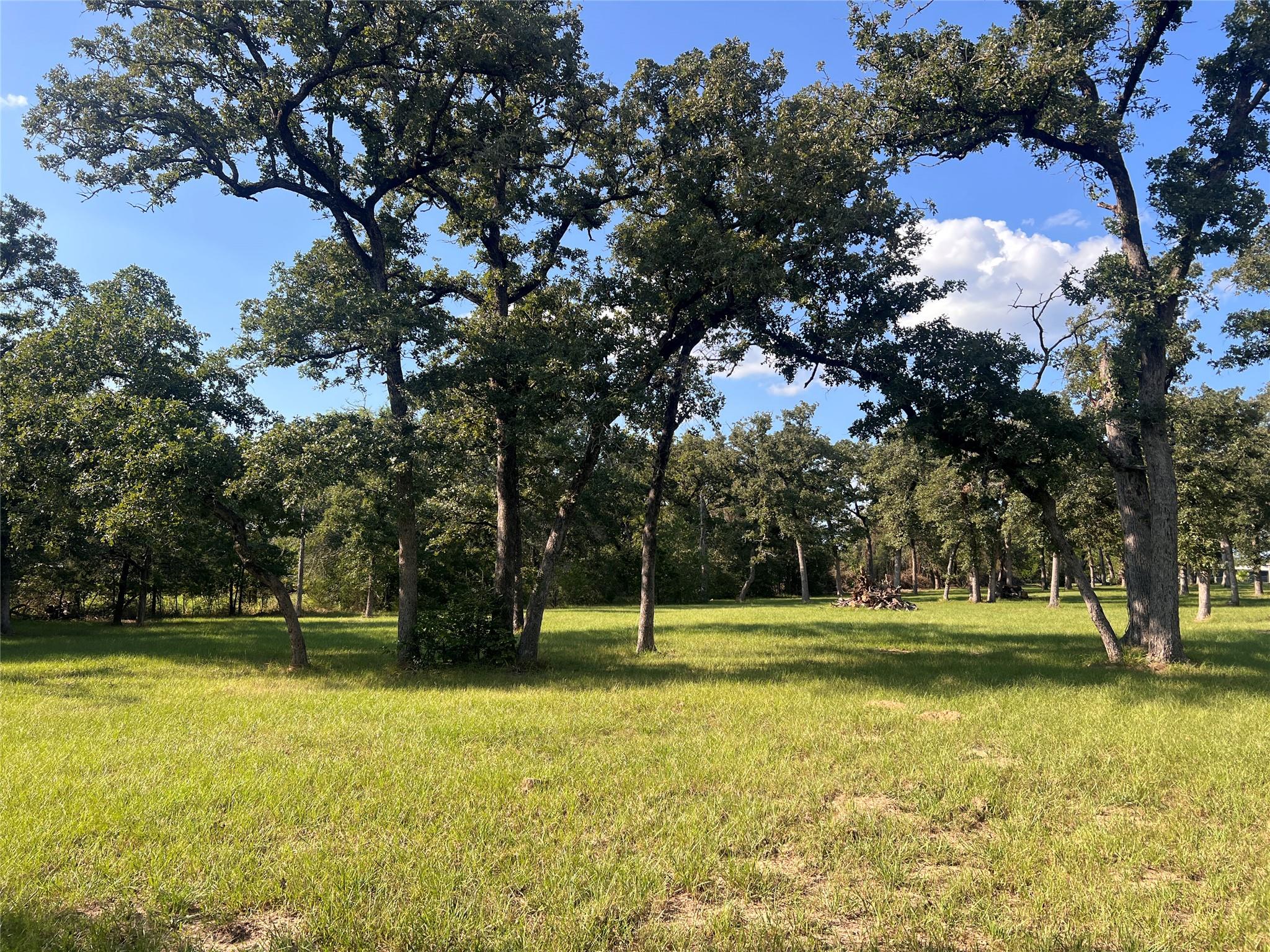 1.921 AC Cardinal Rd, Caldwell, TX 77836