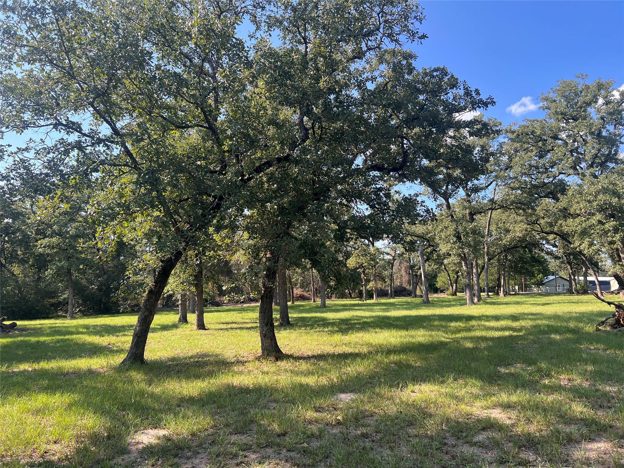 1.921 AC Cardinal Rd, Caldwell, TX 77836