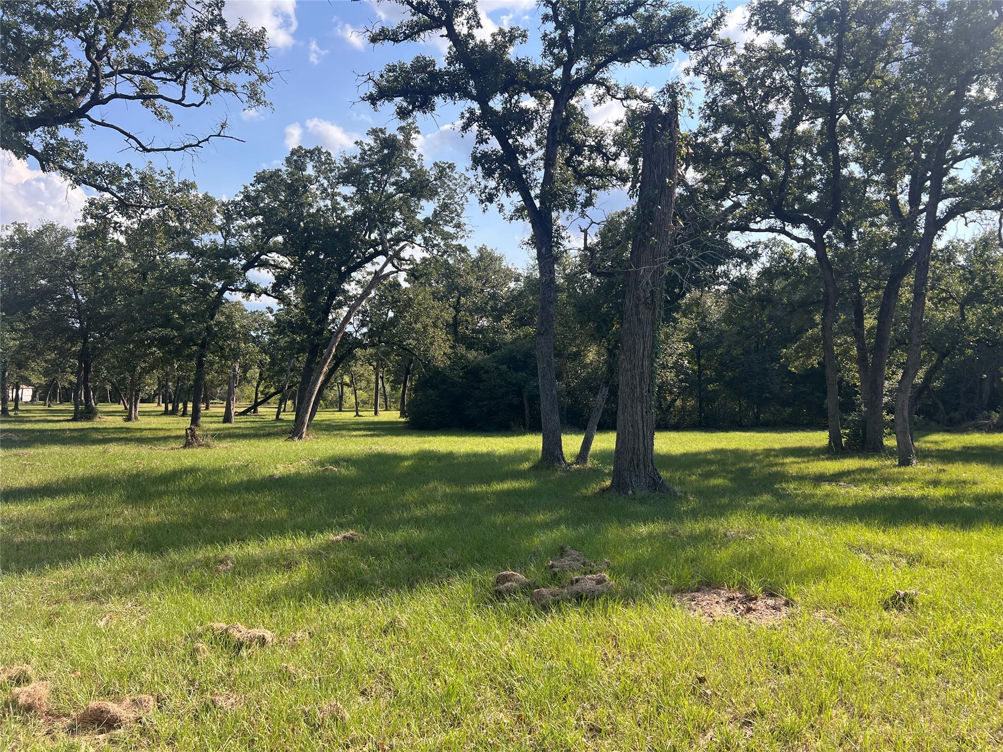 1.921 AC Cardinal Rd, Caldwell, TX 77836