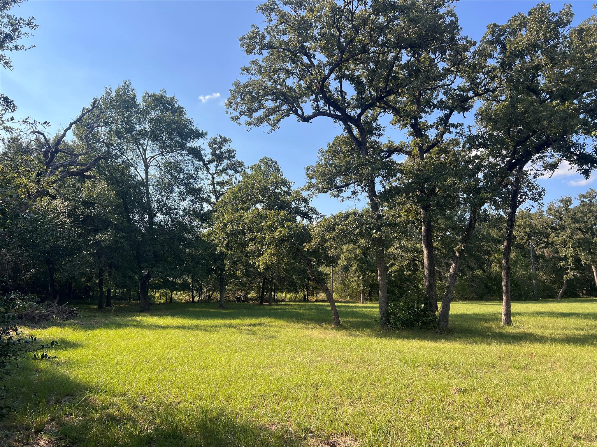 1.921 AC Cardinal Rd, Caldwell, TX 77836
