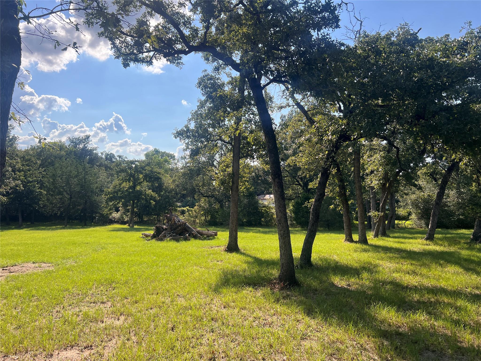 1.921 AC Cardinal Rd, Caldwell, TX 77836