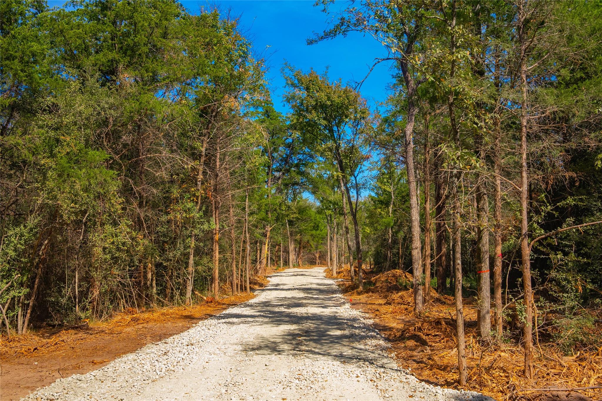 12582 Red Hill Rd, Hearne, TX 77859