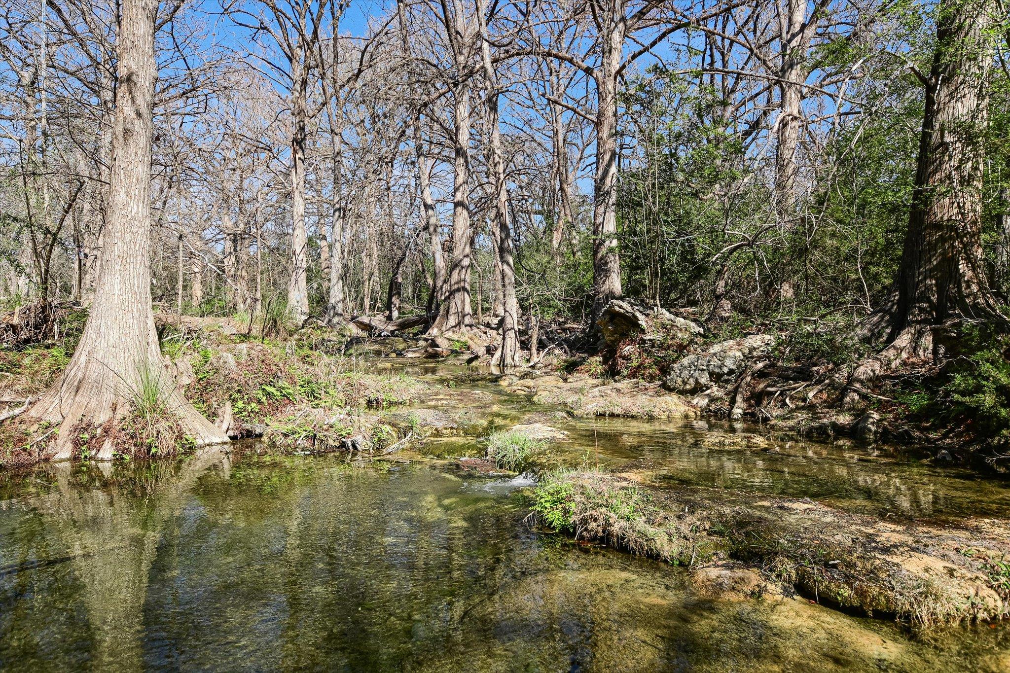 300 MILL RACE Ln # 4, Wimberley, TX 78676