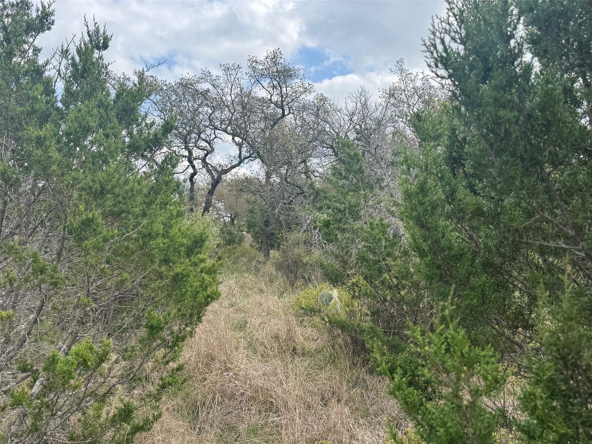 Lot 33 Eagle Feather, Kingsland, TX 78639