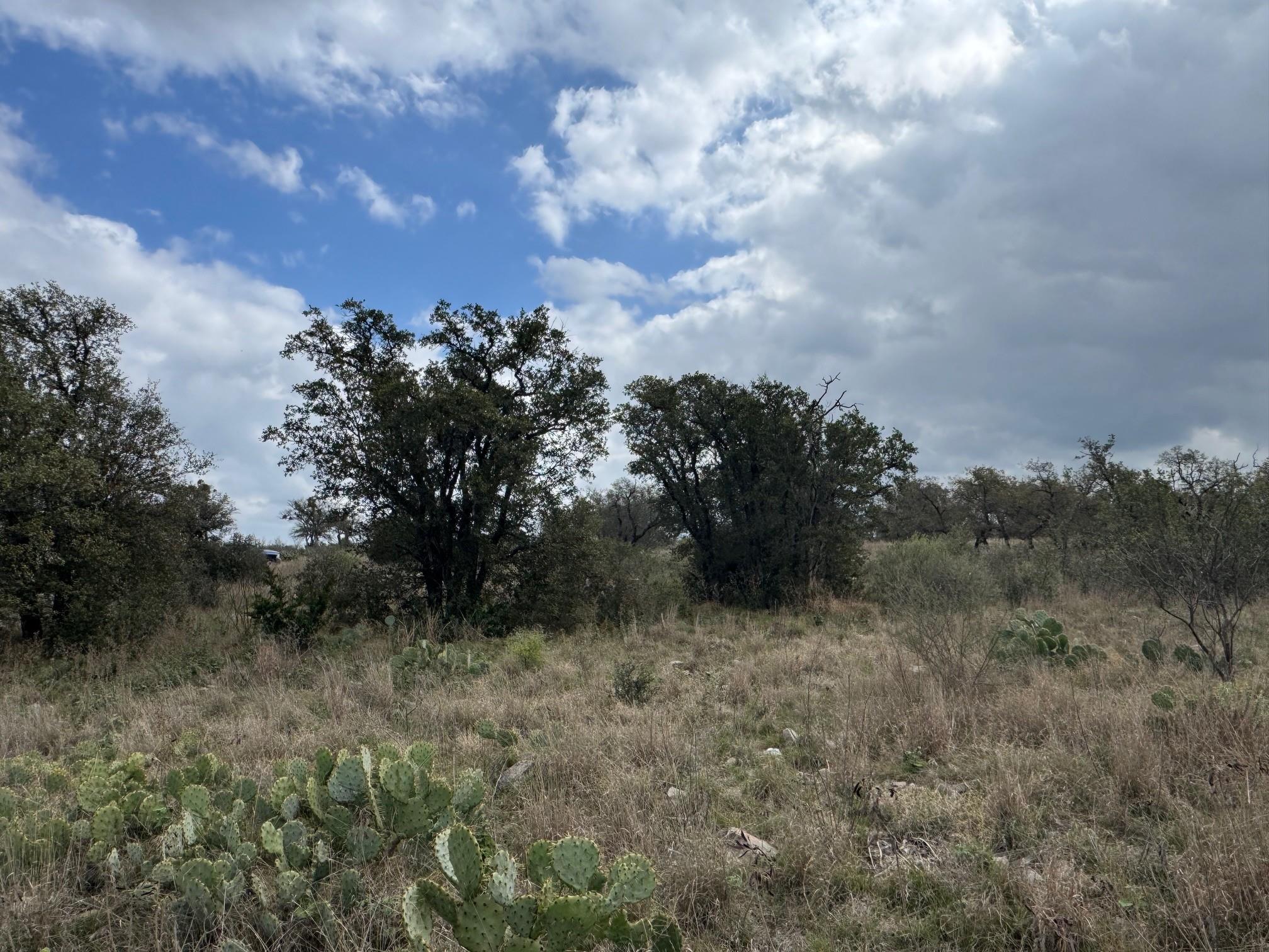 Lot 34 Eagle Feather, Kingsland, TX 78639