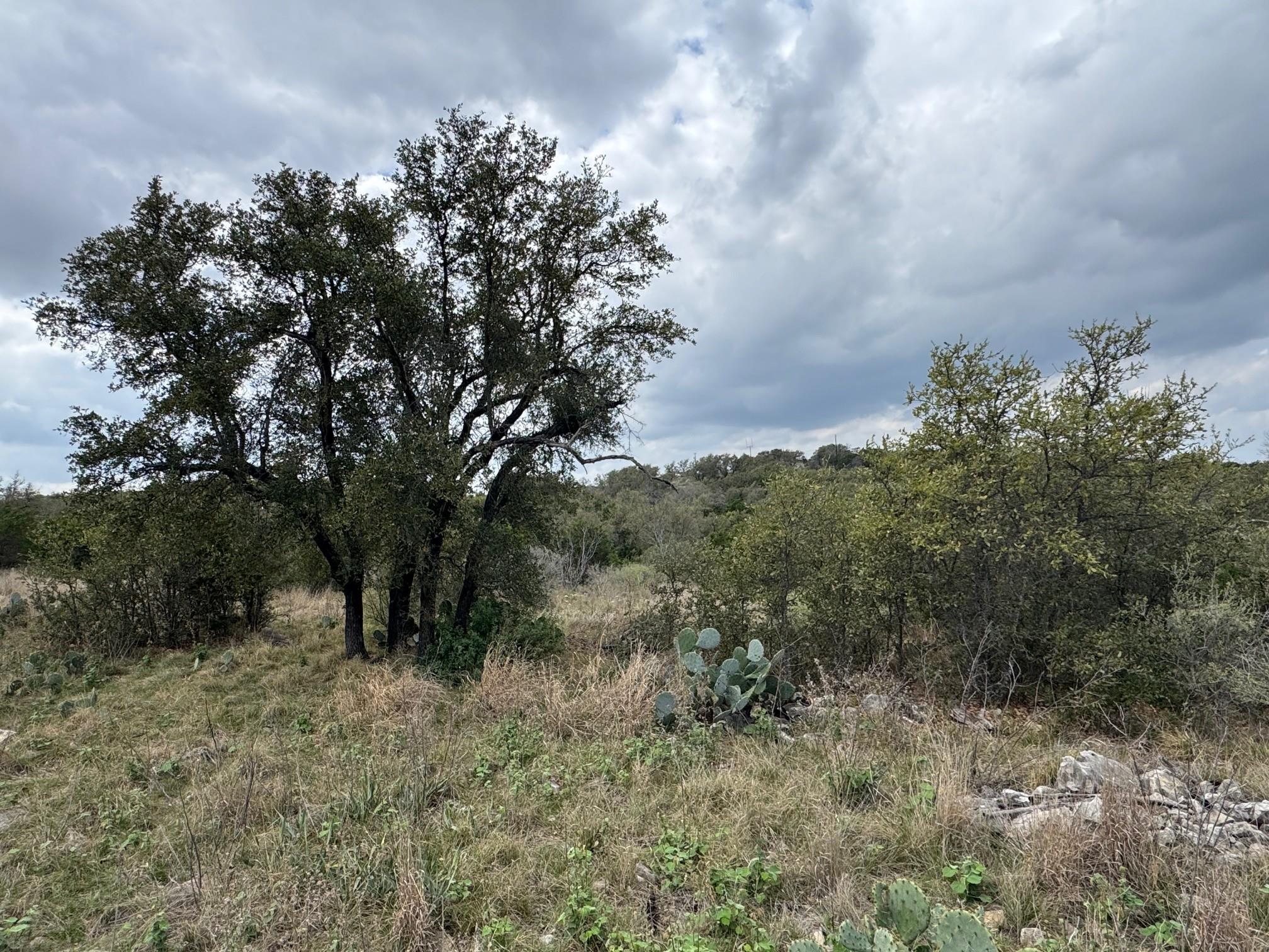 Lot 34 Eagle Feather, Kingsland, TX 78639