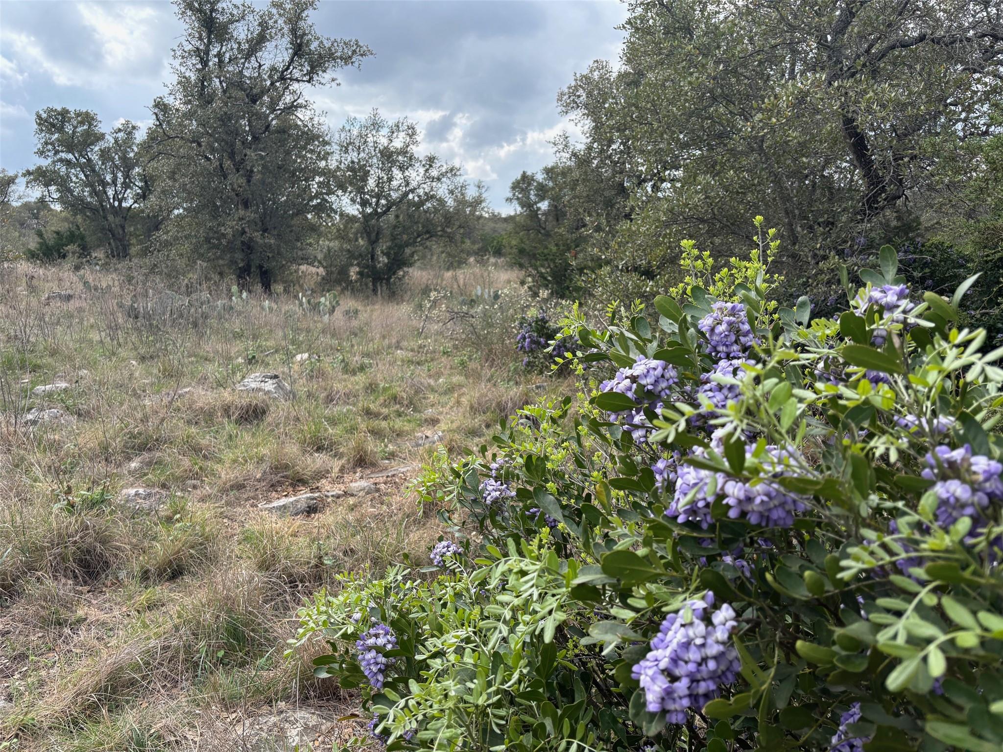 Lot 34 Eagle Feather, Kingsland, TX 78639