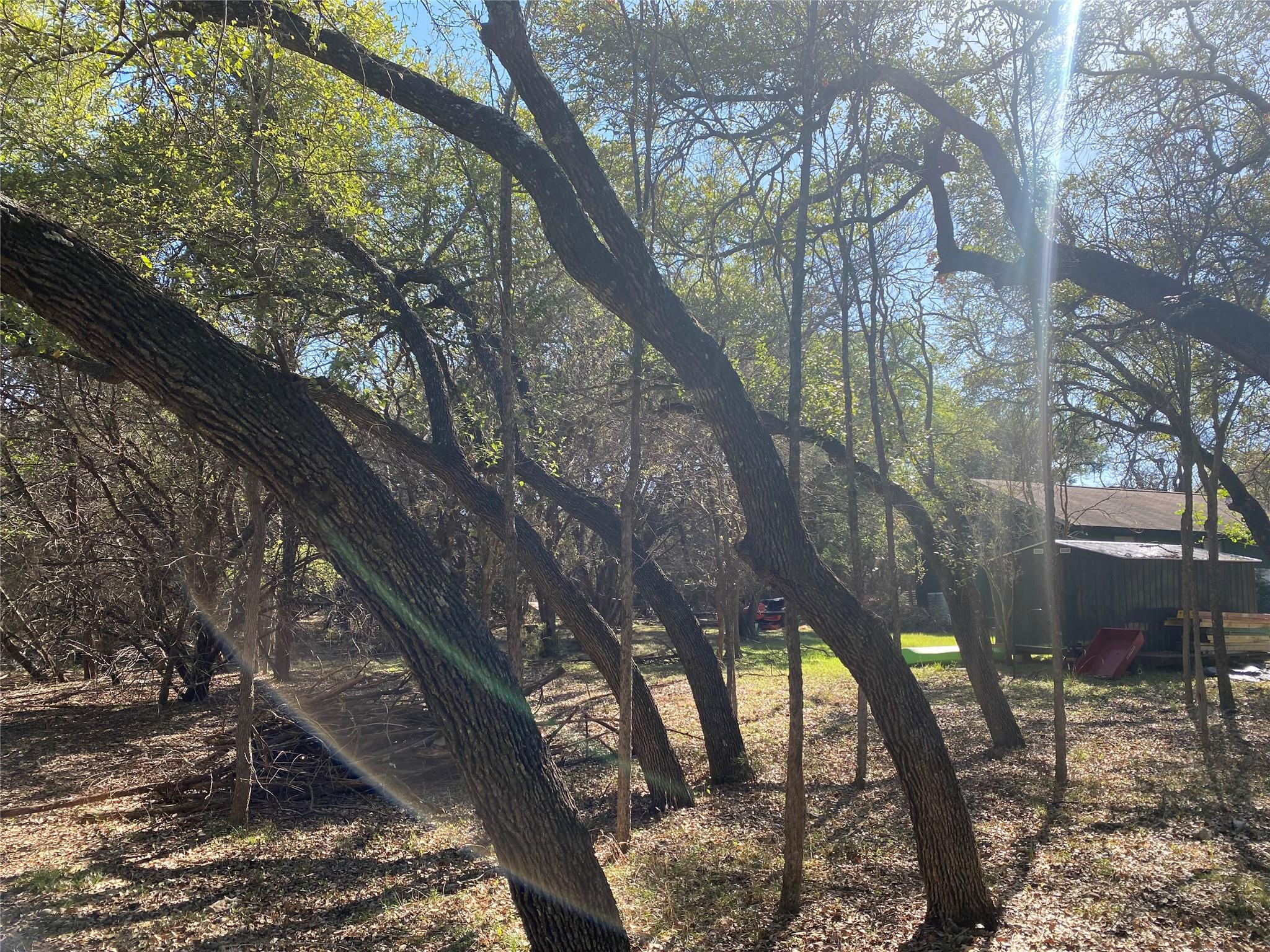 TBD Las Flores, Wimberley, TX 78676