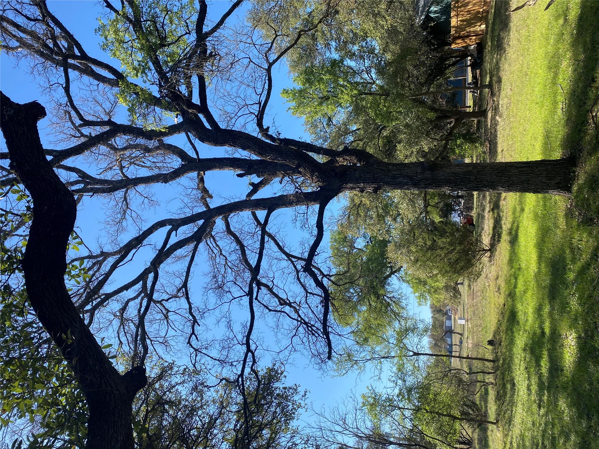 TBD Las Flores, Wimberley, TX 78676