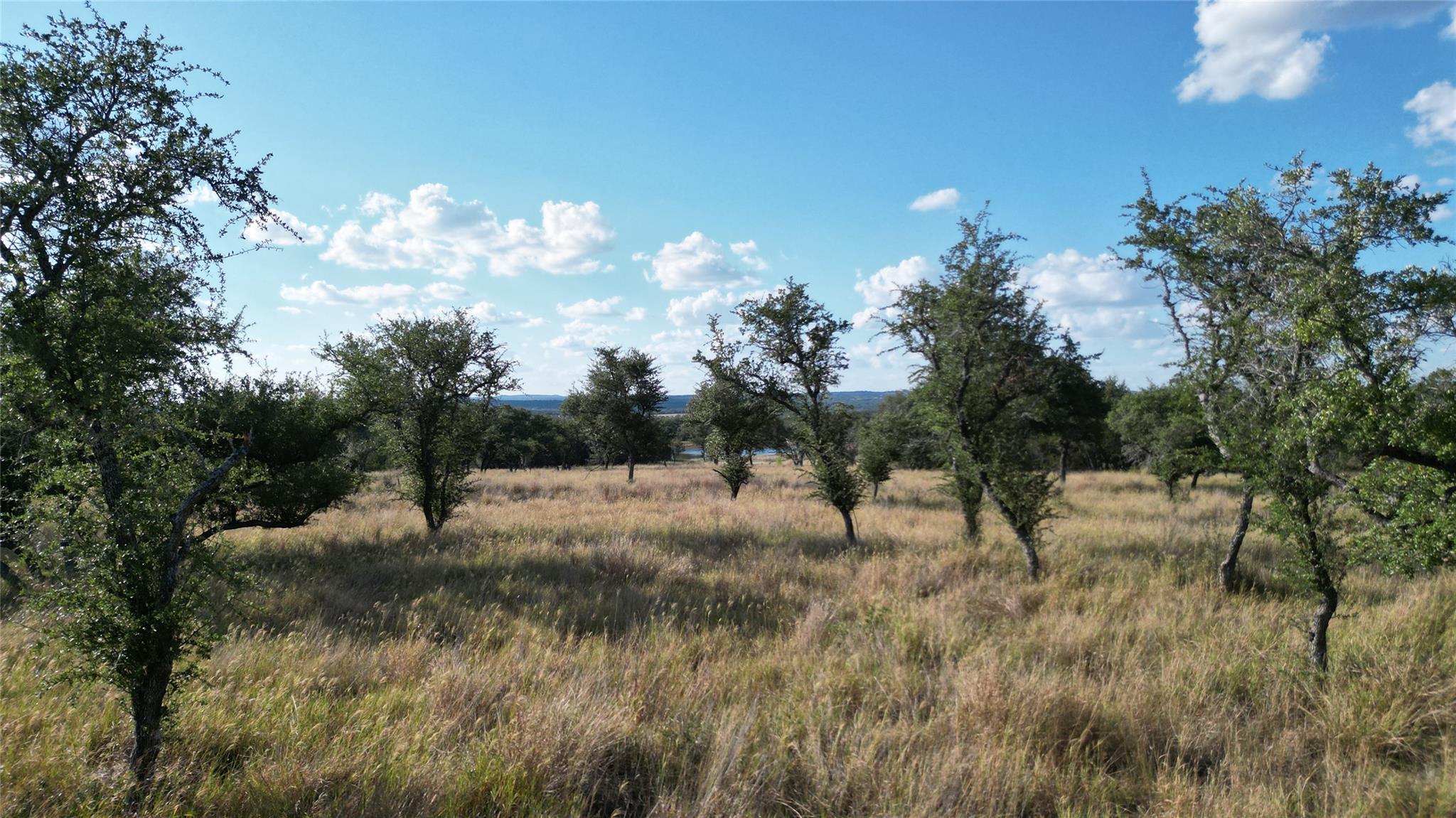 7819 Ranch to Market Road 2766 Rnch, Johnson City, TX 78636