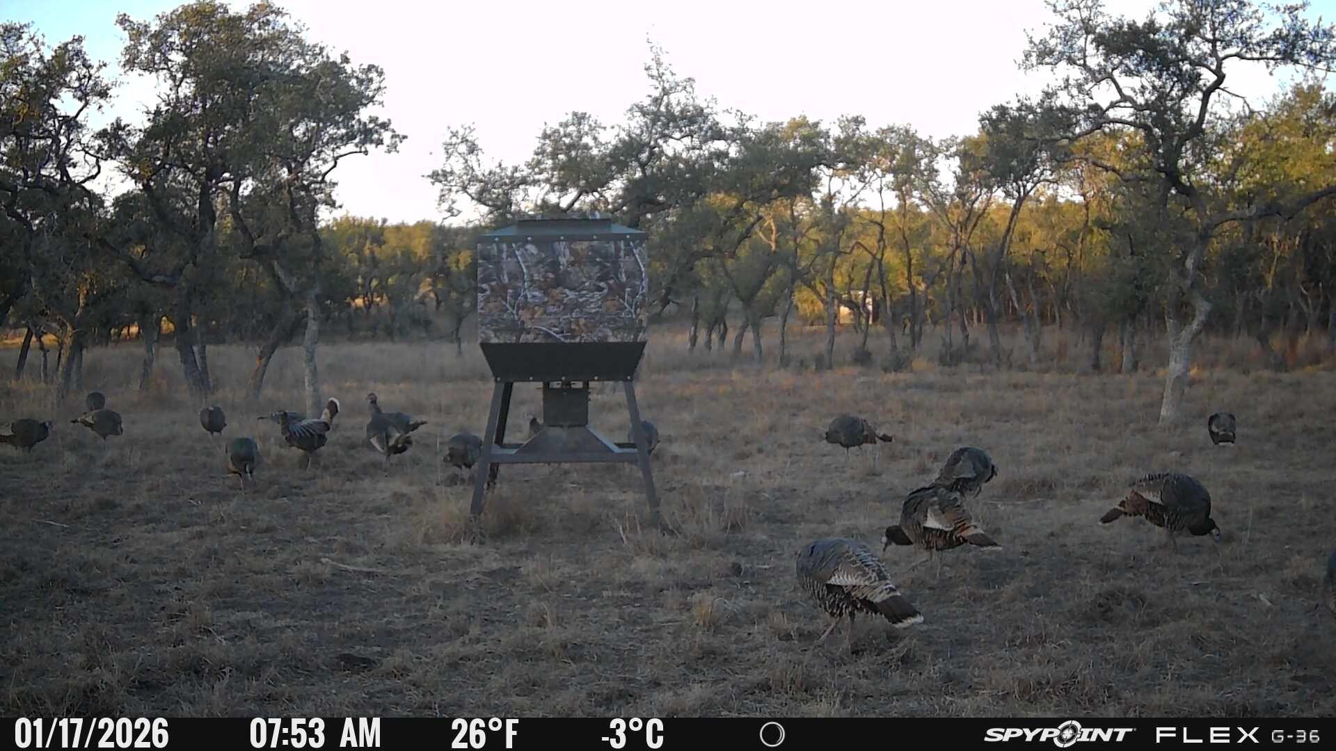 7819 Ranch to Market Road 2766 Rnch, Johnson City, TX 78636