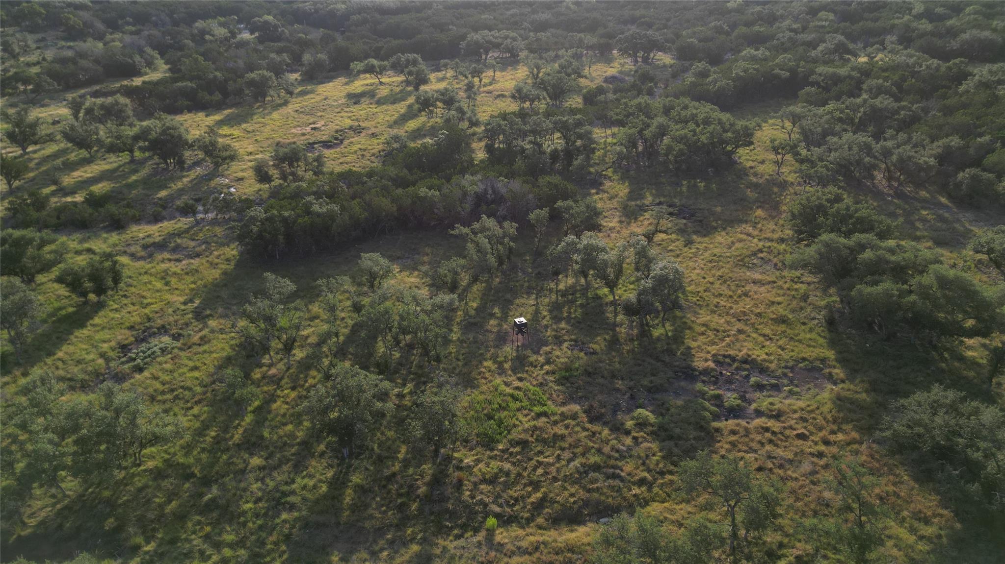 7819 Ranch to Market Road 2766 Rnch, Johnson City, TX 78636