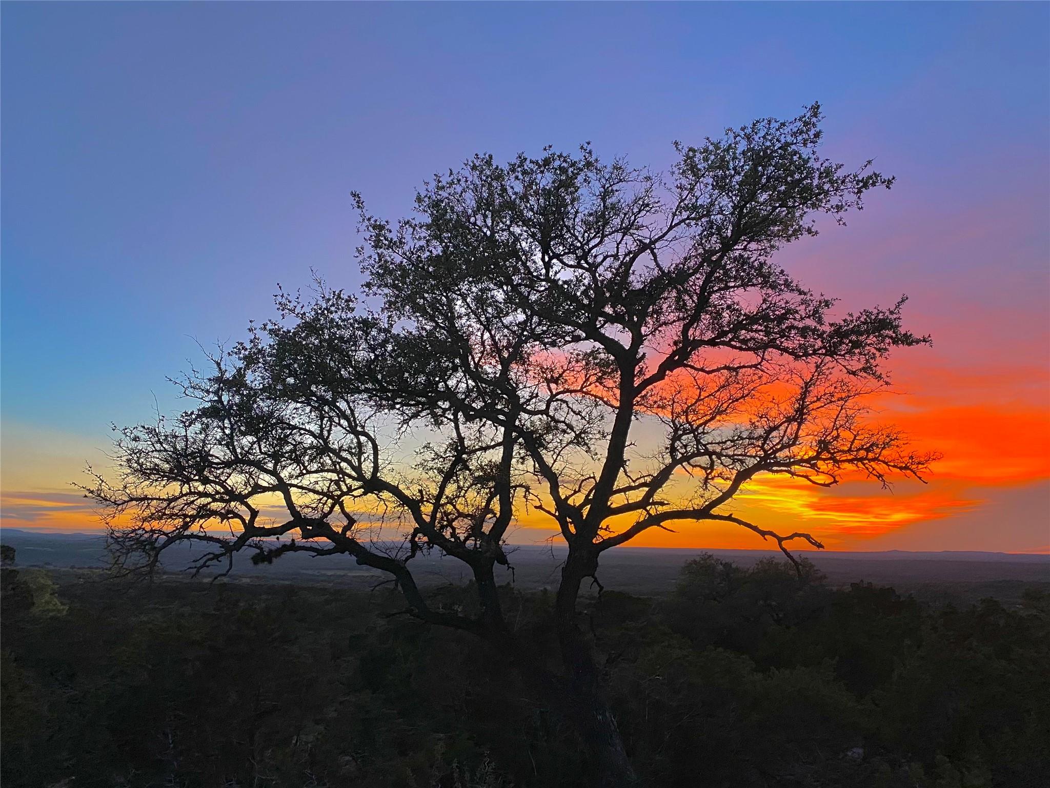 7819 Ranch to Market Road 2766 Rnch, Johnson City, TX 78636