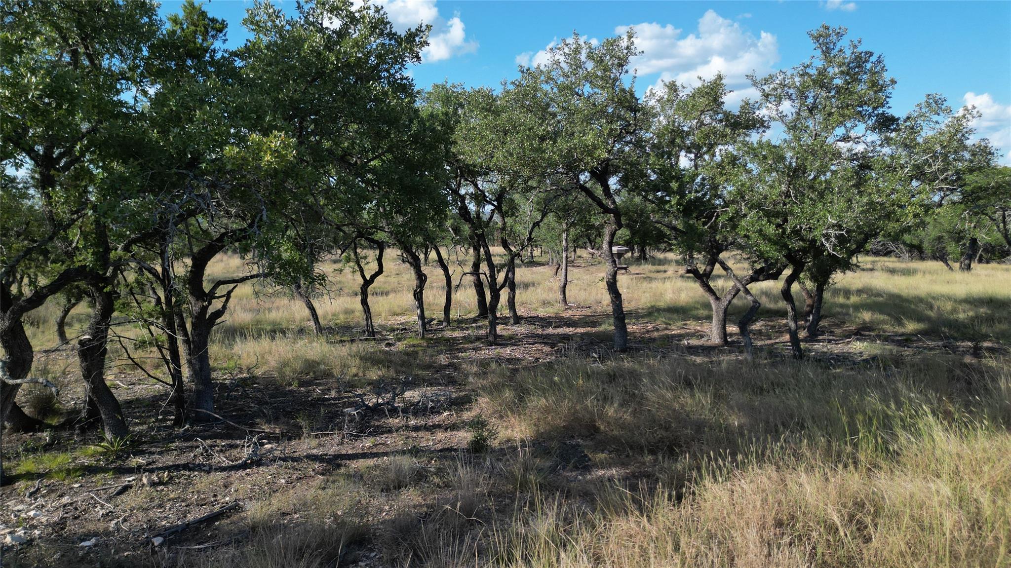 7819 Ranch to Market Road 2766 Rnch, Johnson City, TX 78636