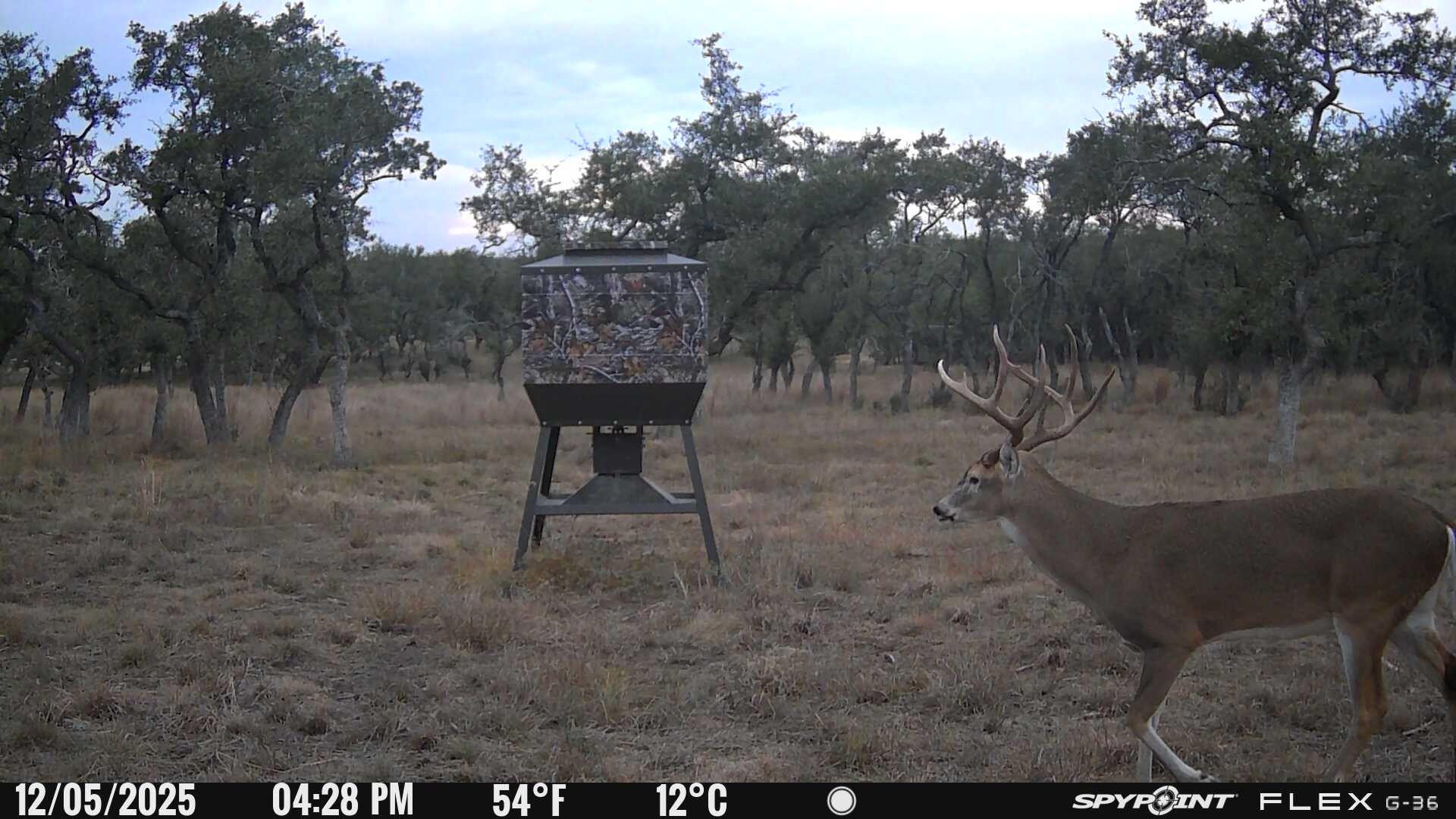 7819 Ranch to Market Road 2766 Rnch, Johnson City, TX 78636