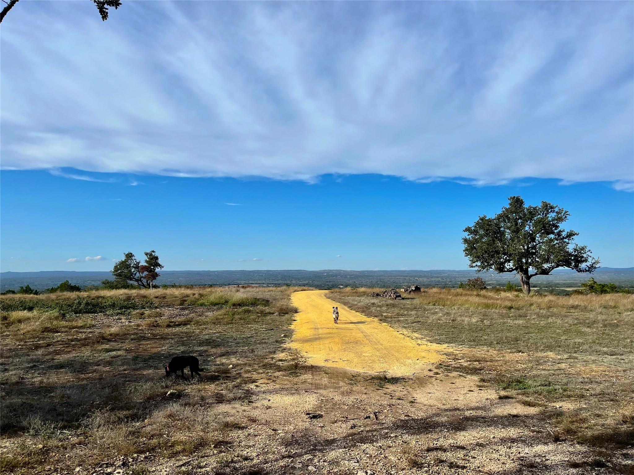 7819 Ranch to Market Road 2766 Rnch, Johnson City, TX 78636