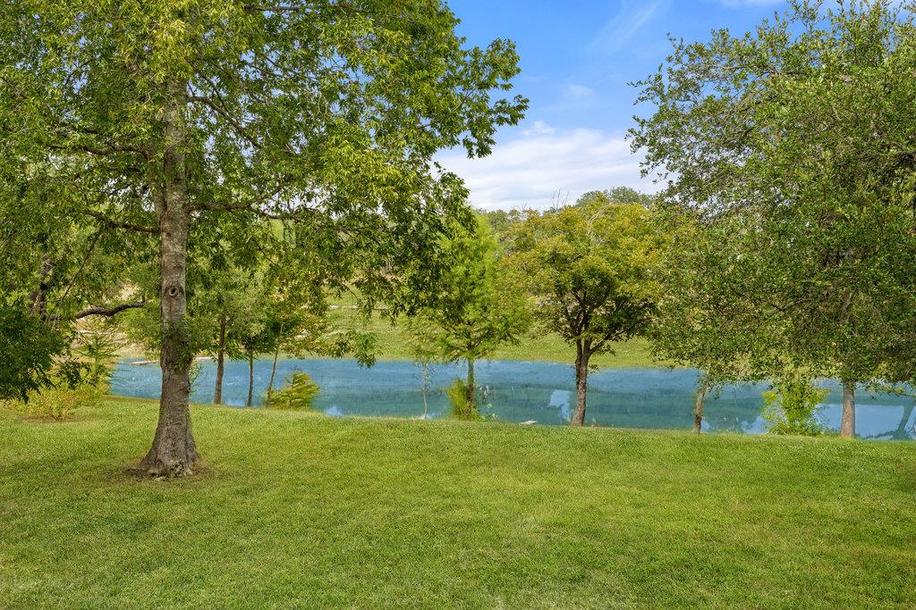 1313 Democrat St, Blanco, TX 78606