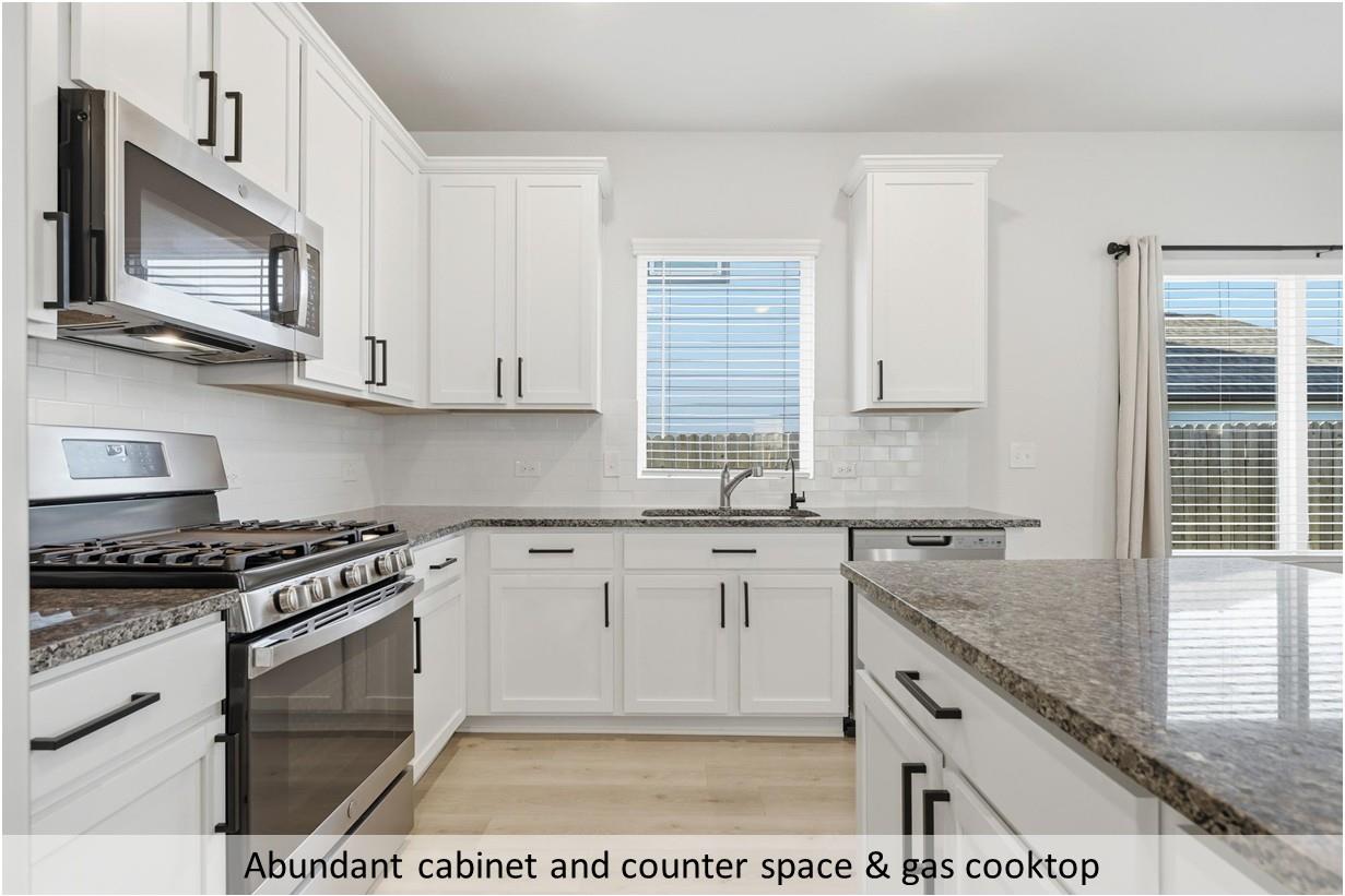 204 Bethany Creek Dr, Hutto, TX 78634