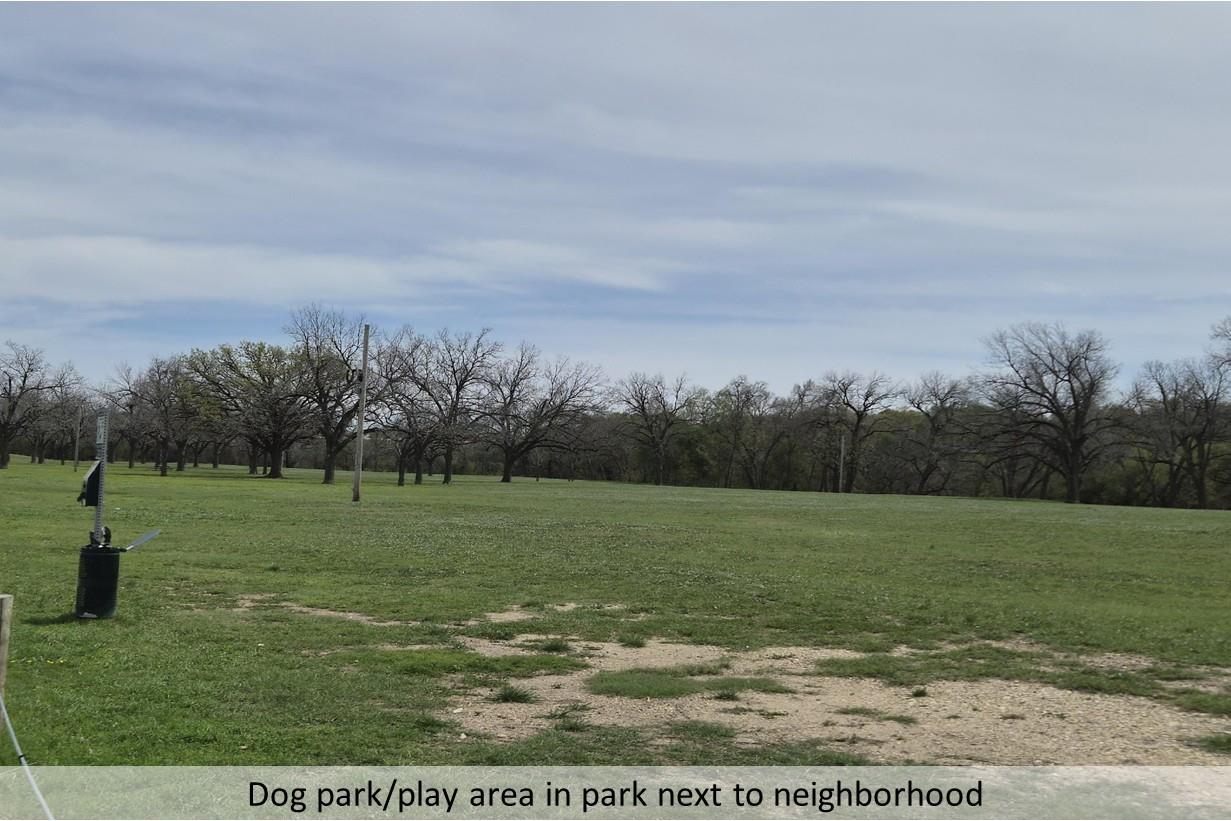 204 Bethany Creek Dr, Hutto, TX 78634