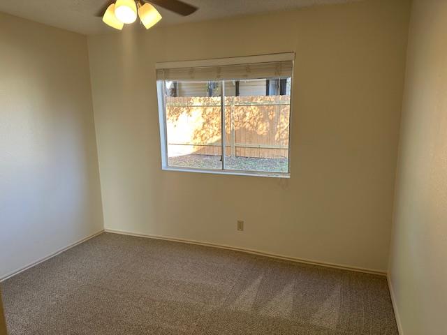 331 Fantail Loop # B, Austin, TX 78734