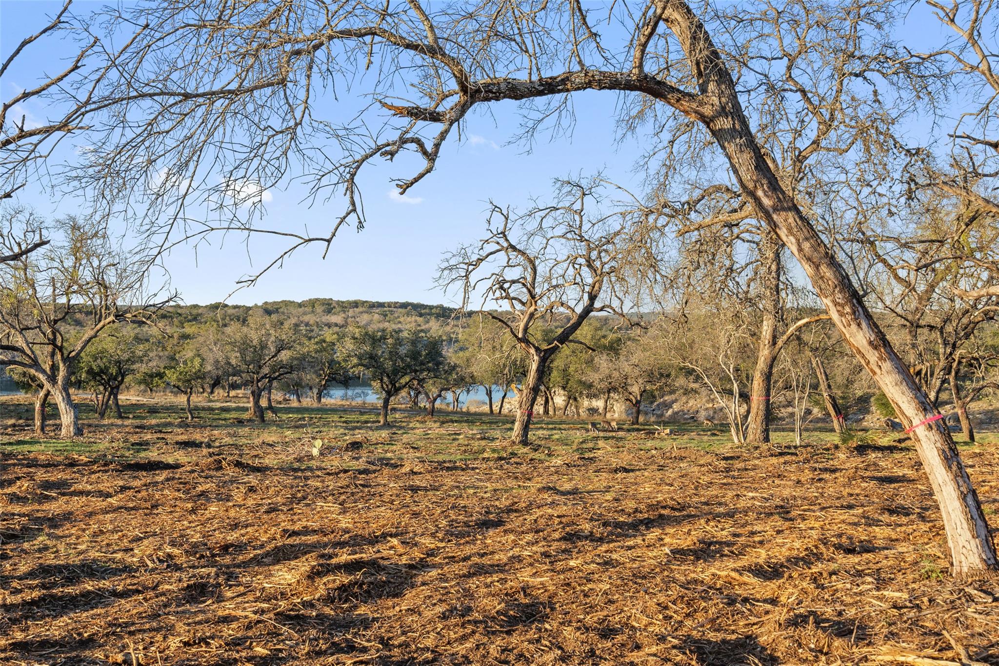 1902 Patriot Dr, Lago Vista, TX 78645