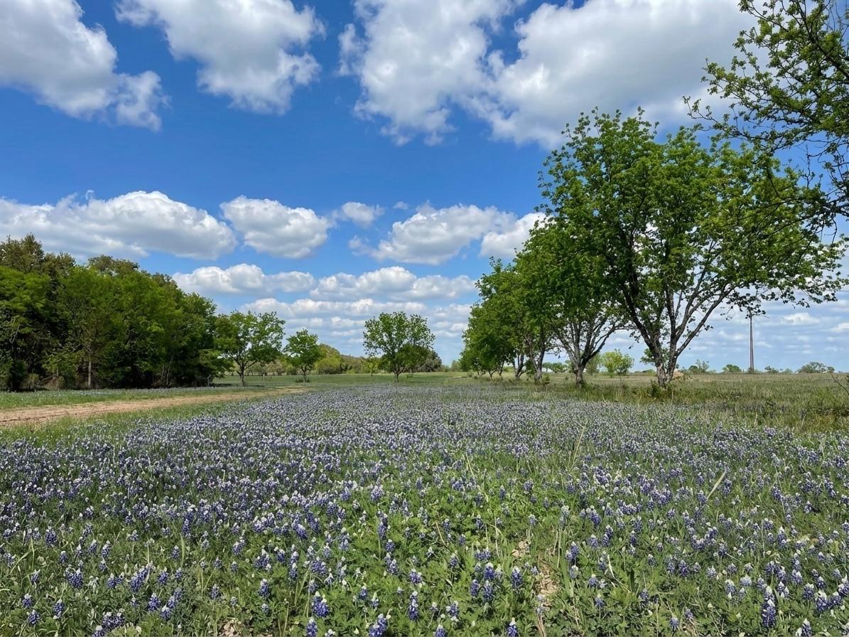 7120 HWY 183 N, Brownwood, TX 76802