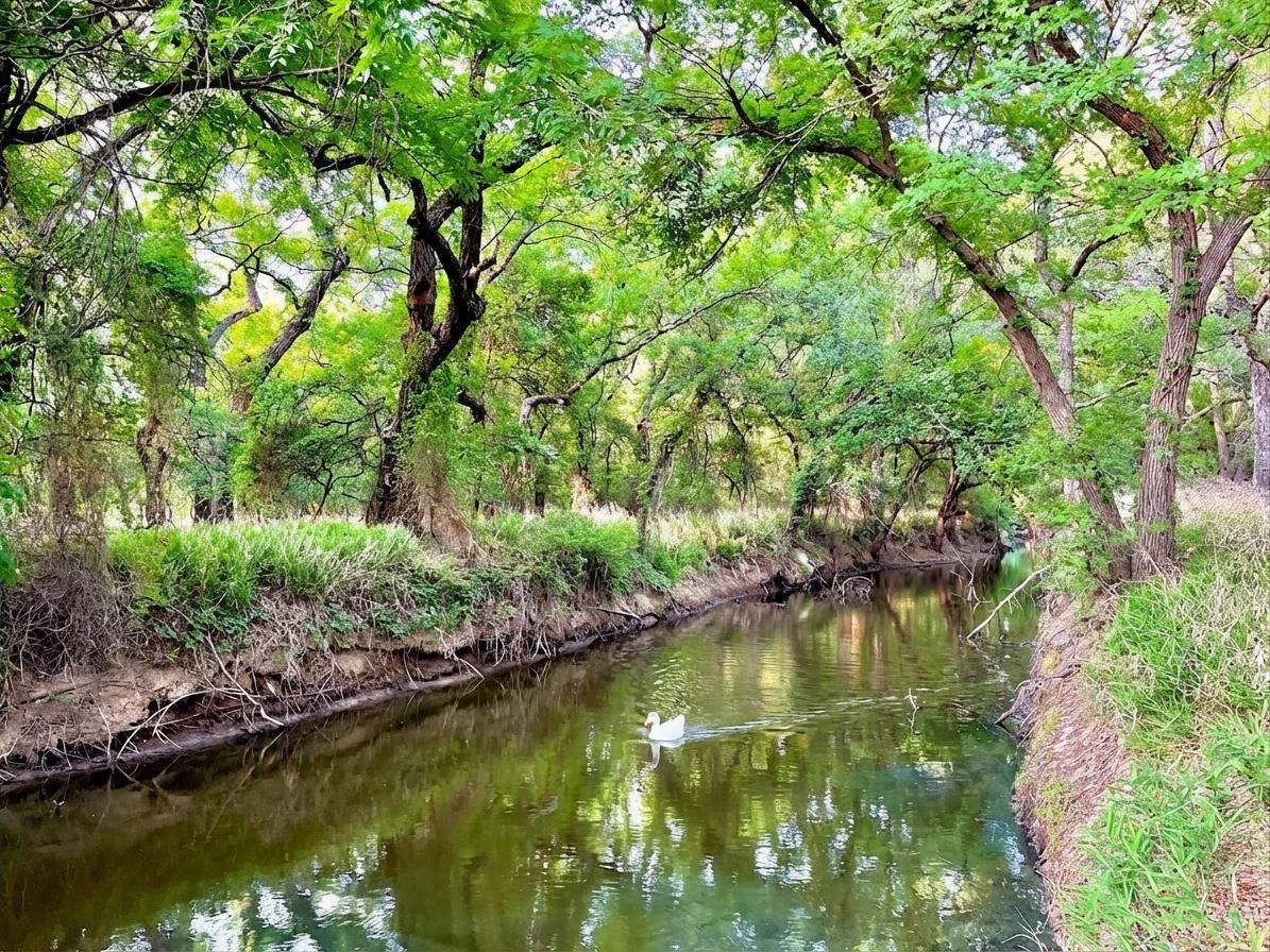 7120 HWY 183 N, Brownwood, TX 76802