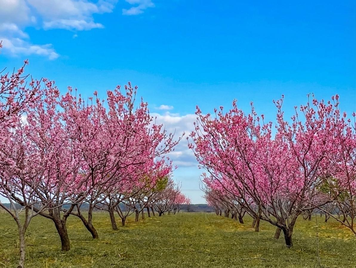 7120 HWY 183 N, Brownwood, TX 76802