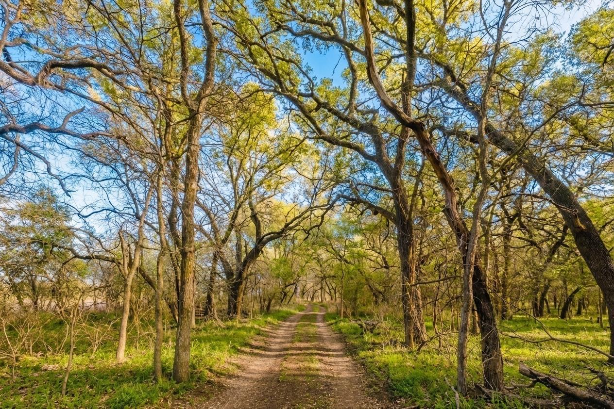 7120 HWY 183 N, Brownwood, TX 76802