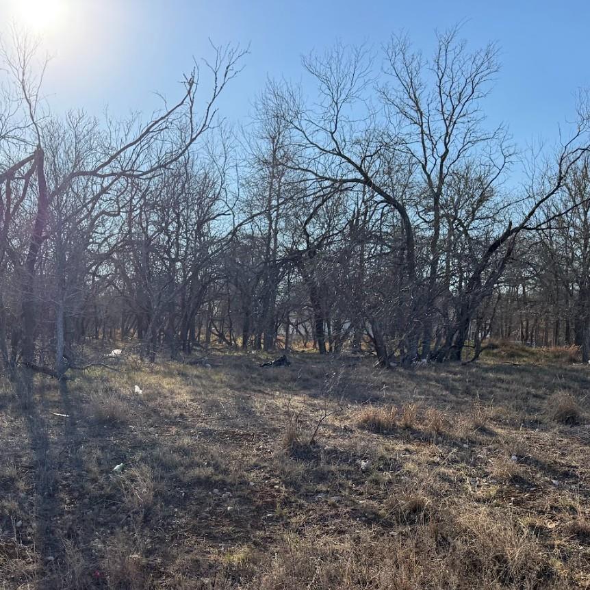 133 Chandler Cv, Cedar Creek, TX 78612