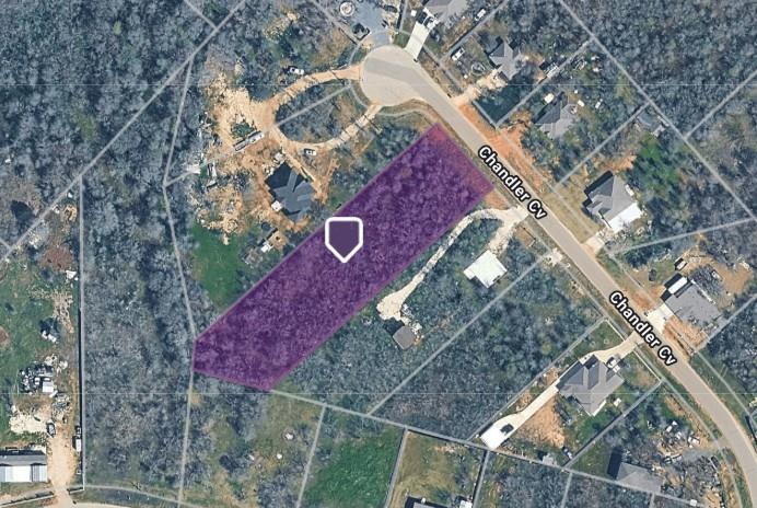 133 Chandler Cv, Cedar Creek, TX 78612