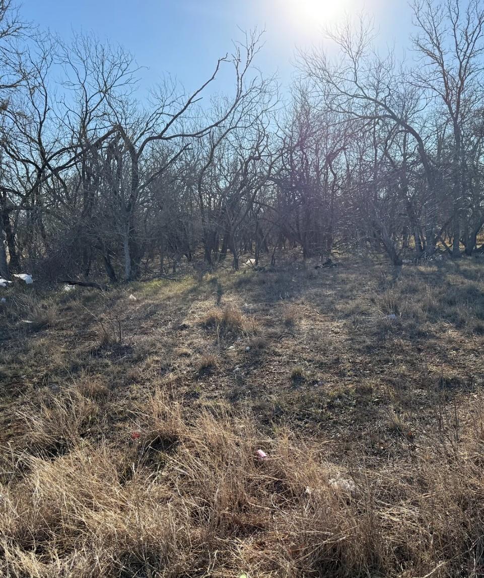 133 Chandler Cv, Cedar Creek, TX 78612