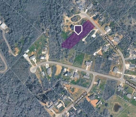 133 Chandler Cv, Cedar Creek, TX 78612