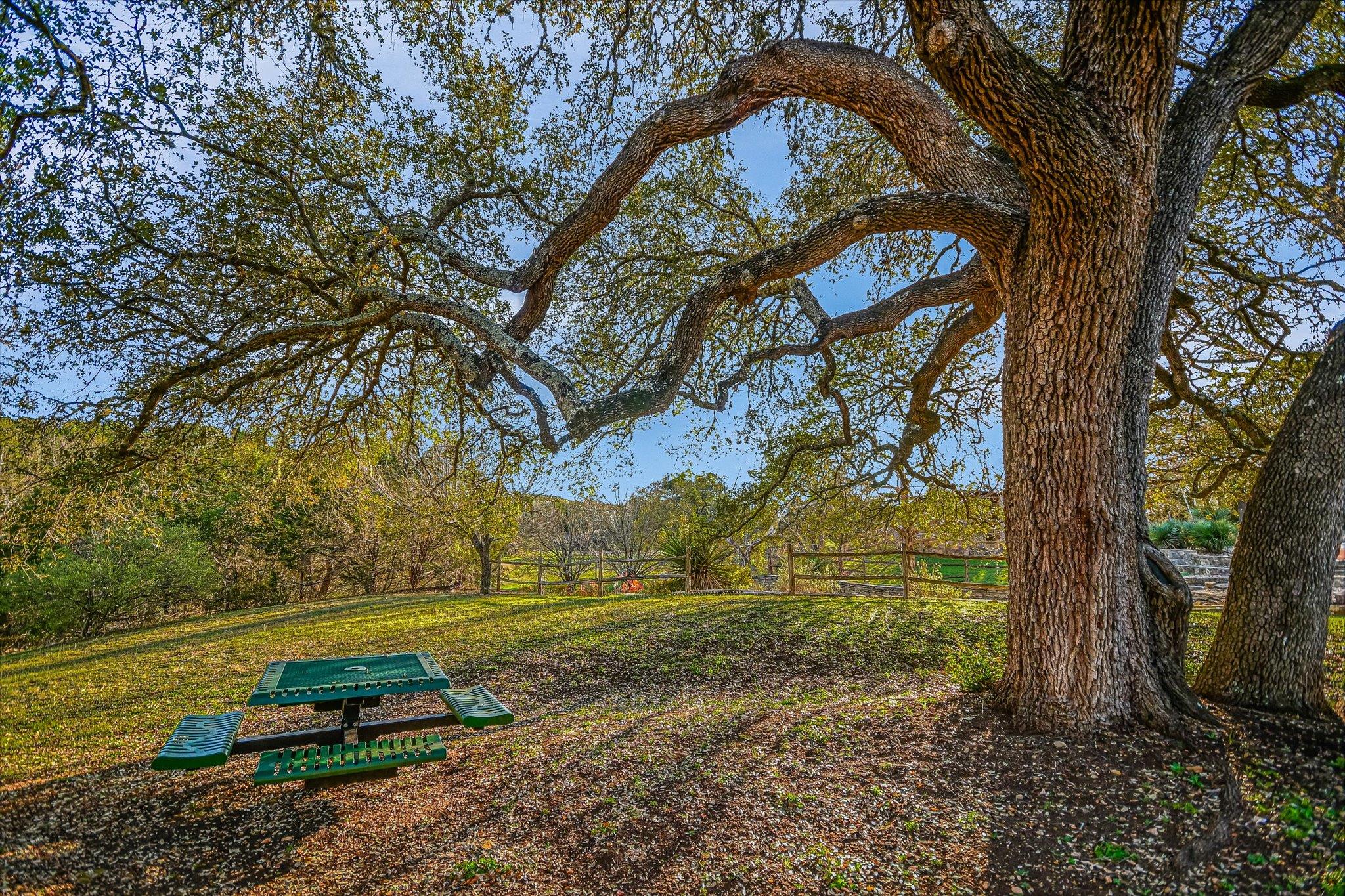 250 BROWN SADDLE Cv, Driftwood, TX 78619