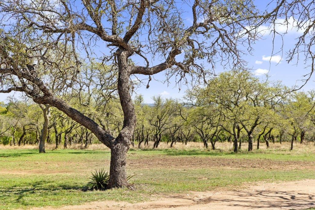 434 W Turner Ct, Johnson City, TX 78636