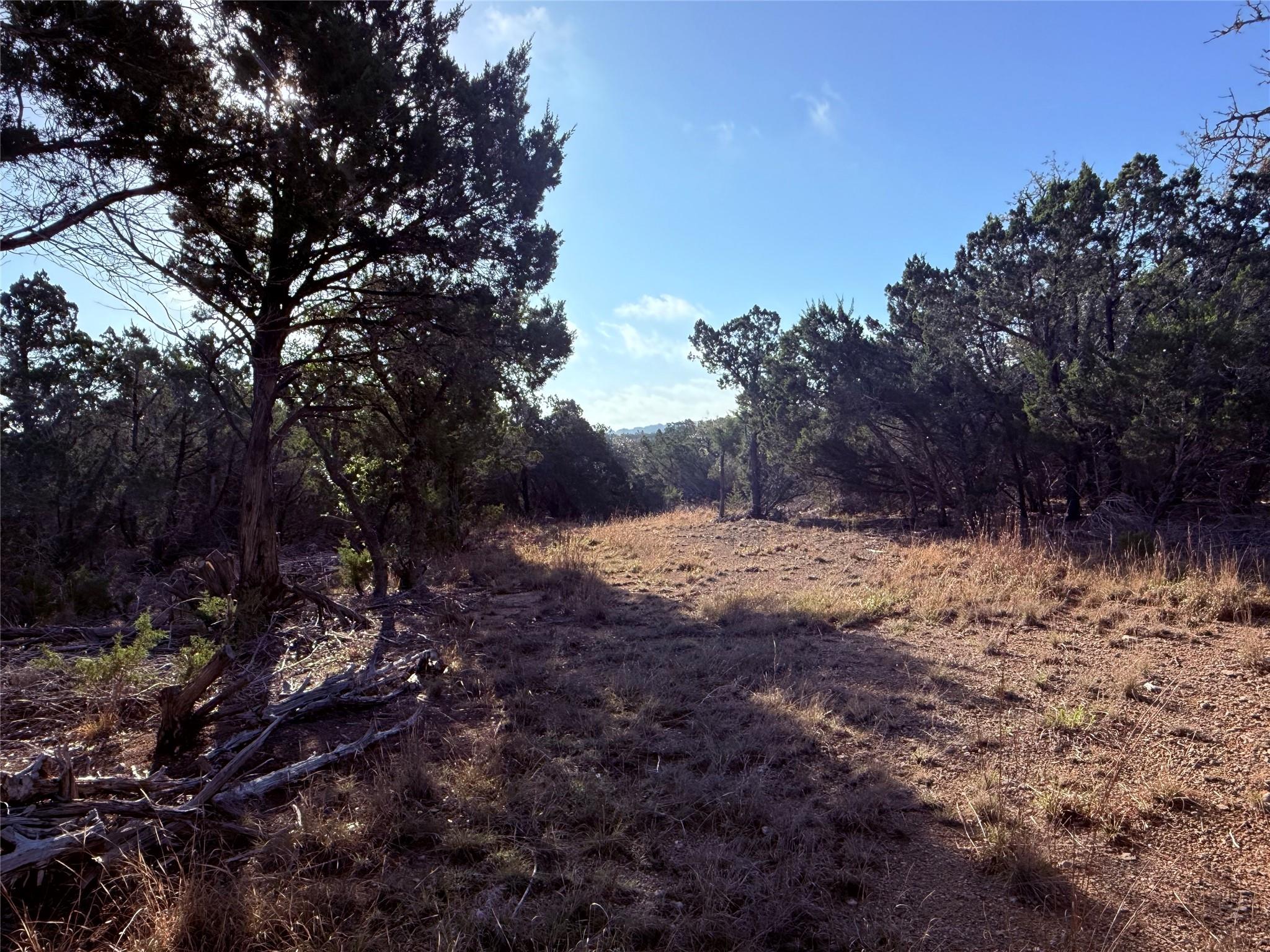3600 Stagecoach Ranch Loop, Dripping Springs, TX 78620