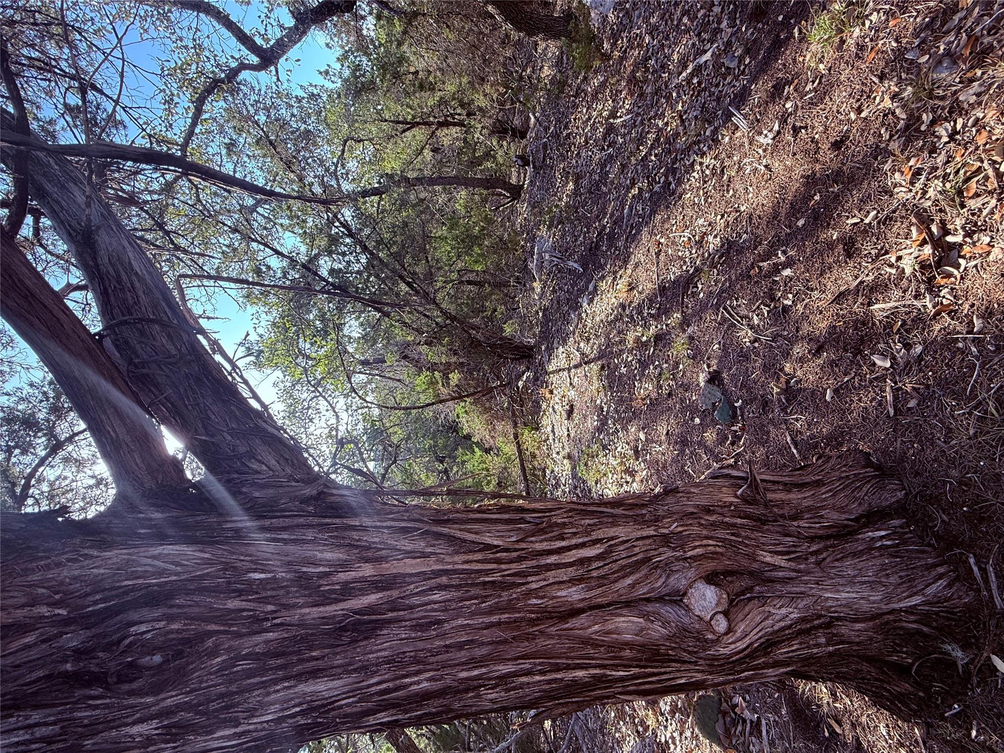 3600 Stagecoach Ranch Loop, Dripping Springs, TX 78620