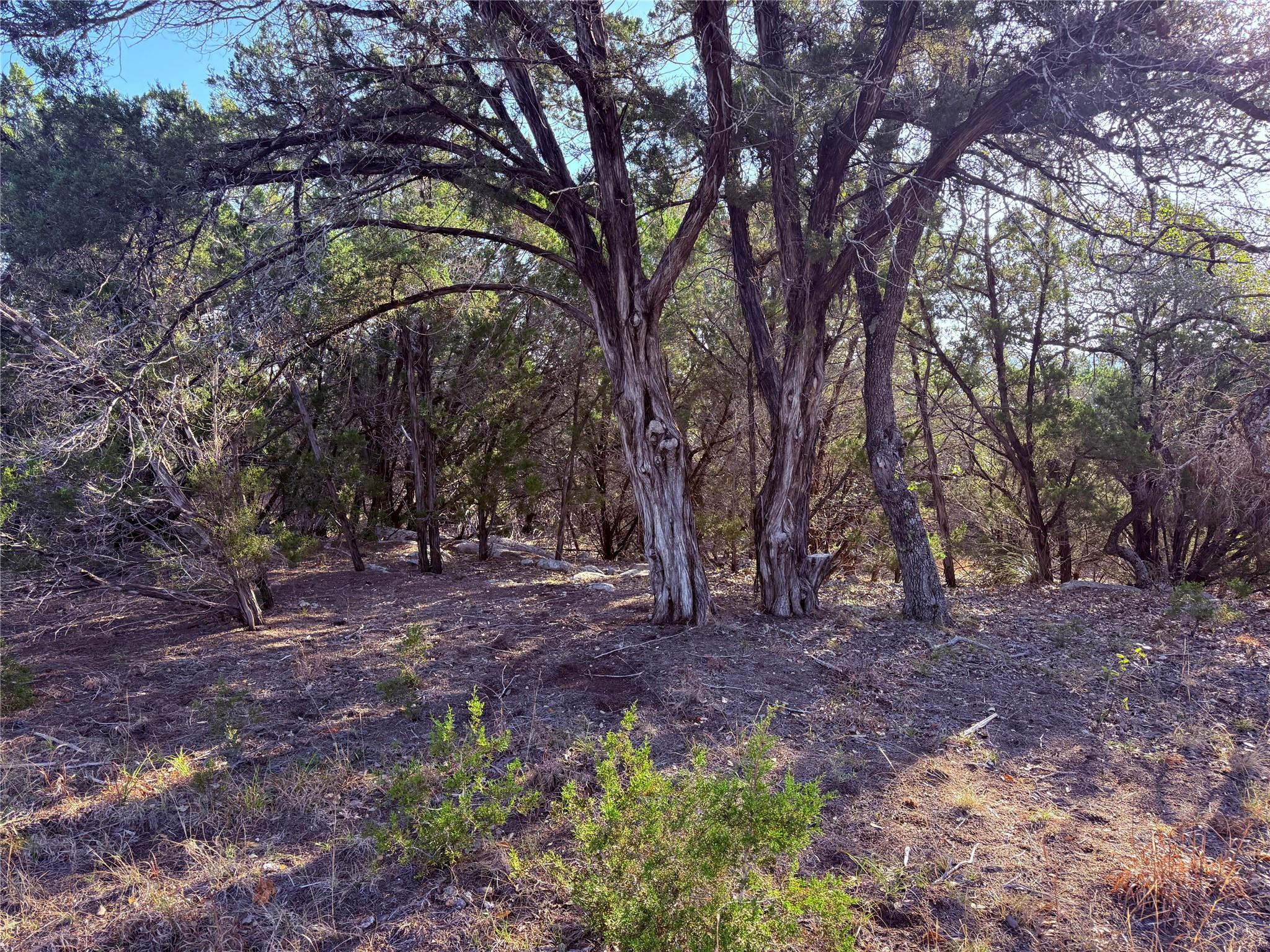 3600 Stagecoach Ranch Loop, Dripping Springs, TX 78620