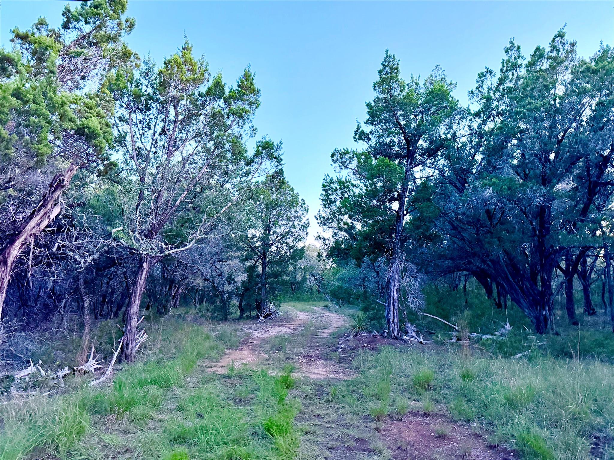 3600 Stagecoach Ranch Loop, Dripping Springs, TX 78620