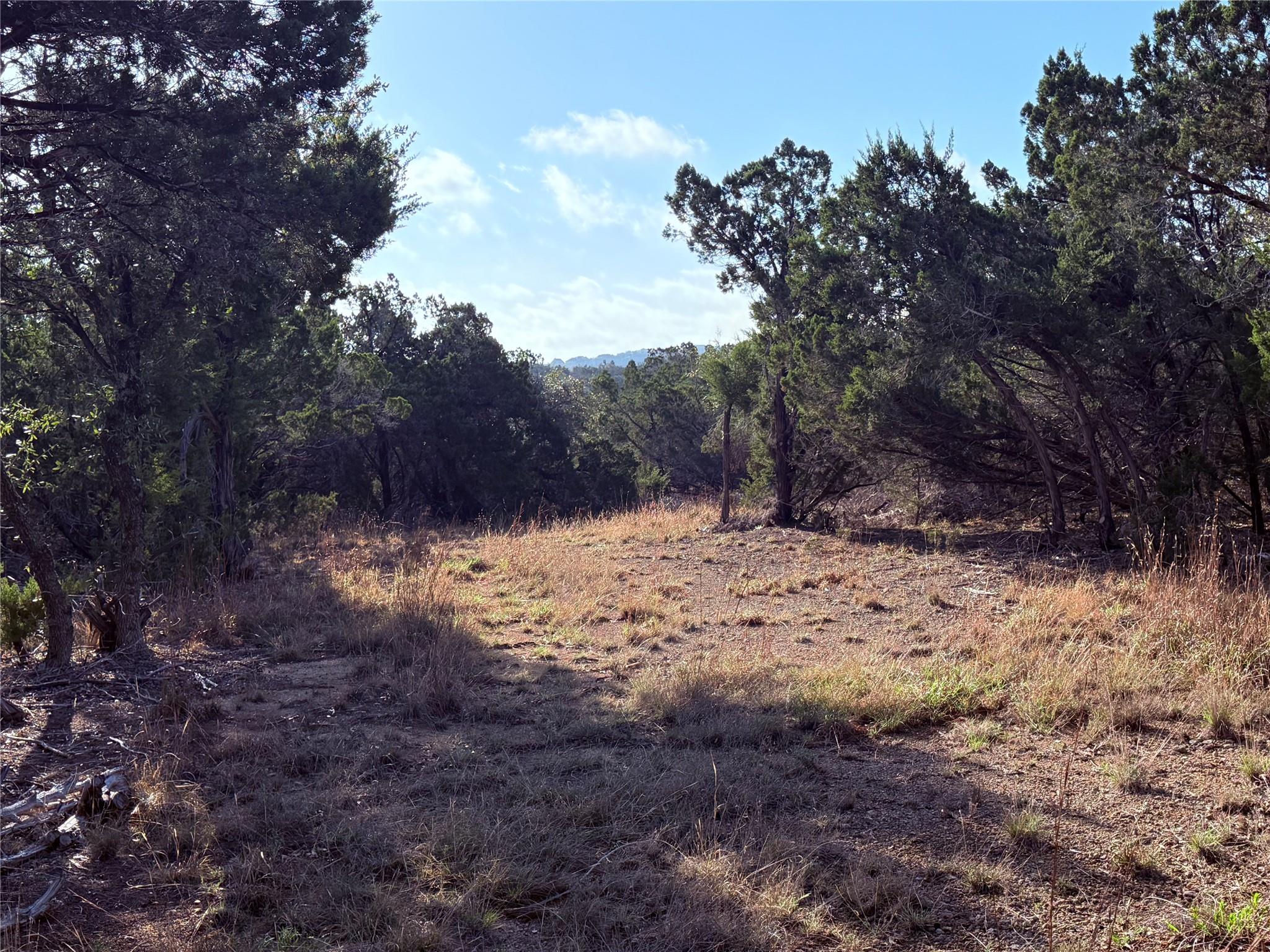 3600 Stagecoach Ranch Loop, Dripping Springs, TX 78620