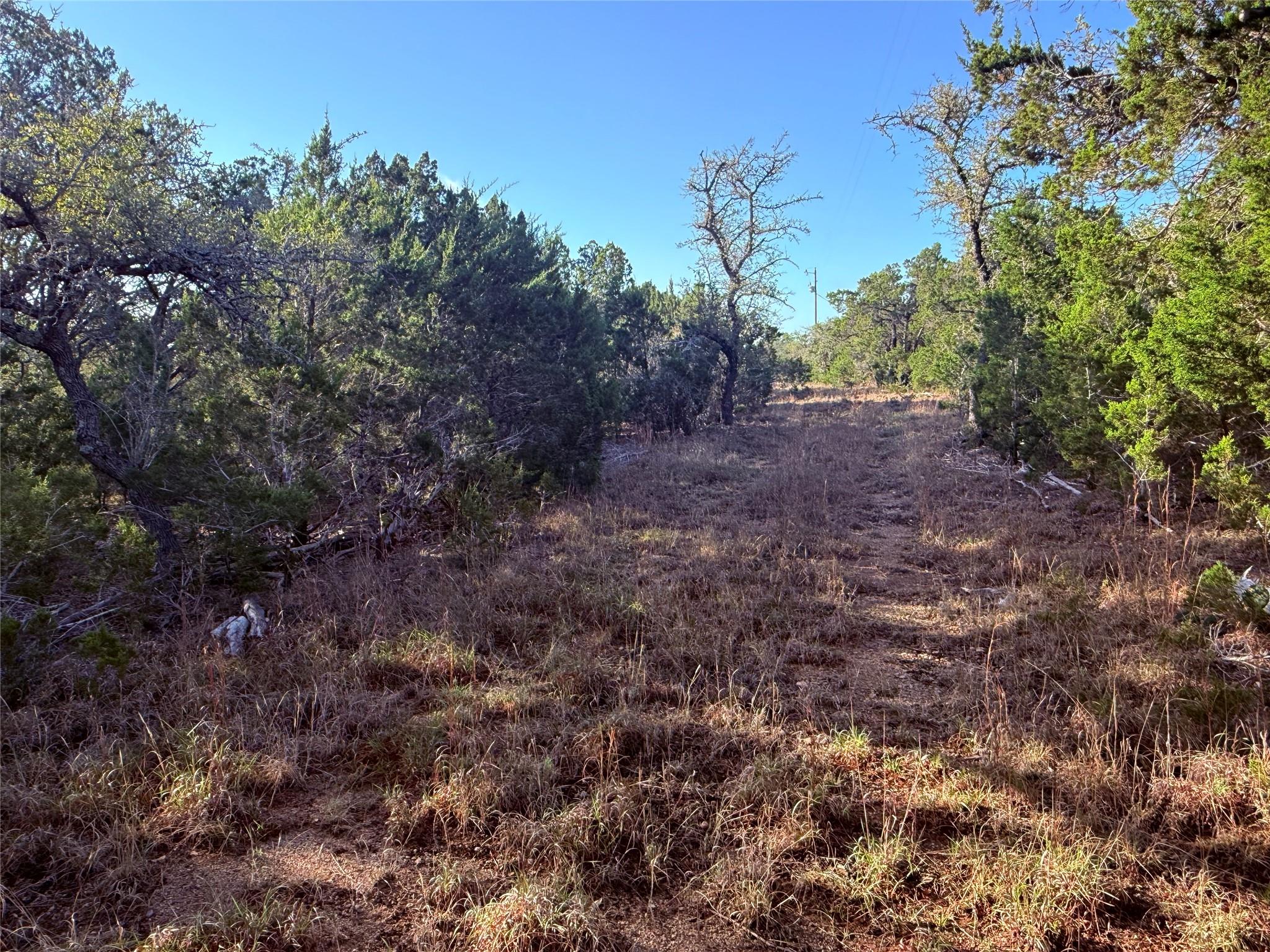 3600 Stagecoach Ranch Loop, Dripping Springs, TX 78620