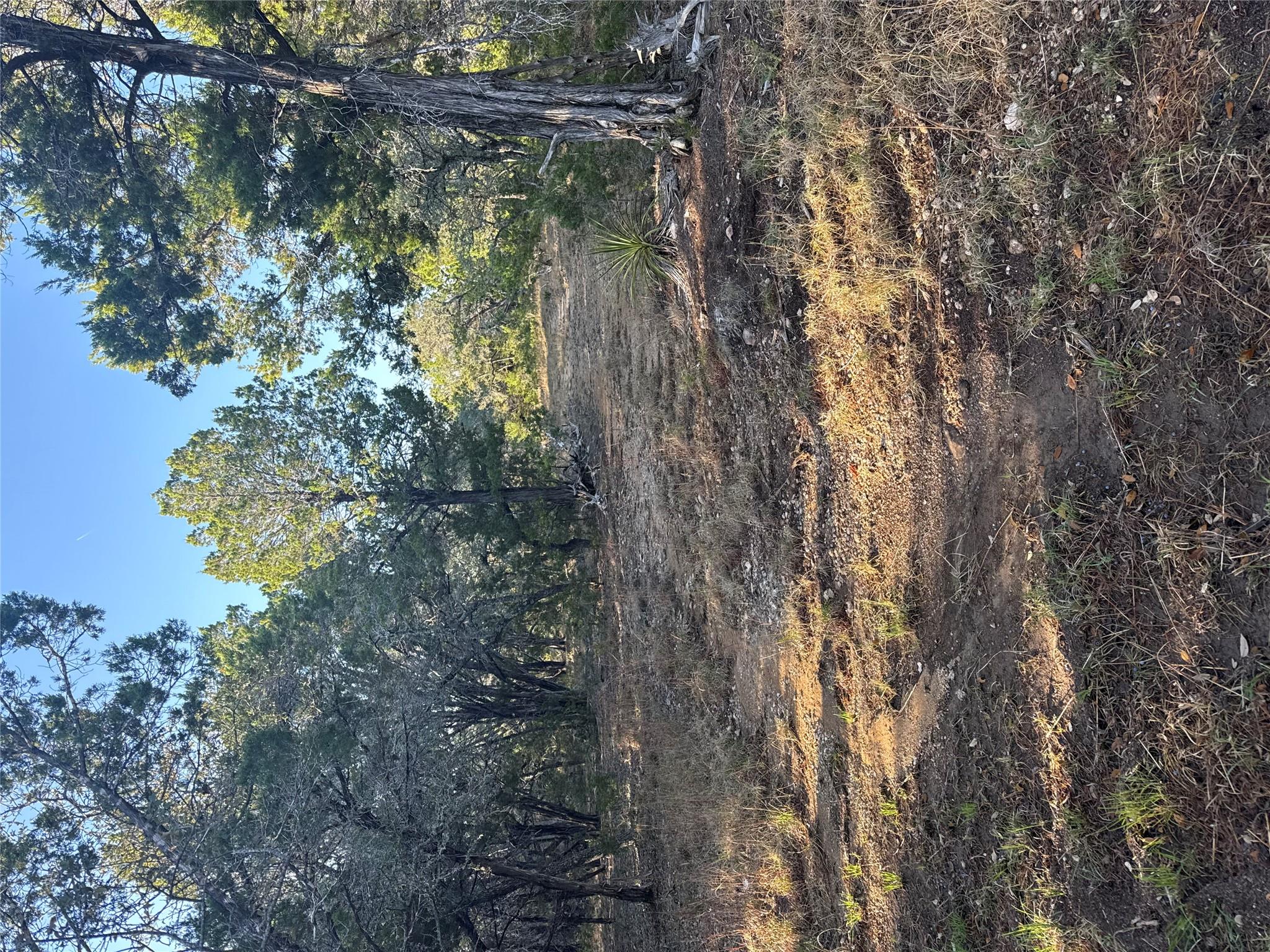 3600 Stagecoach Ranch Loop, Dripping Springs, TX 78620