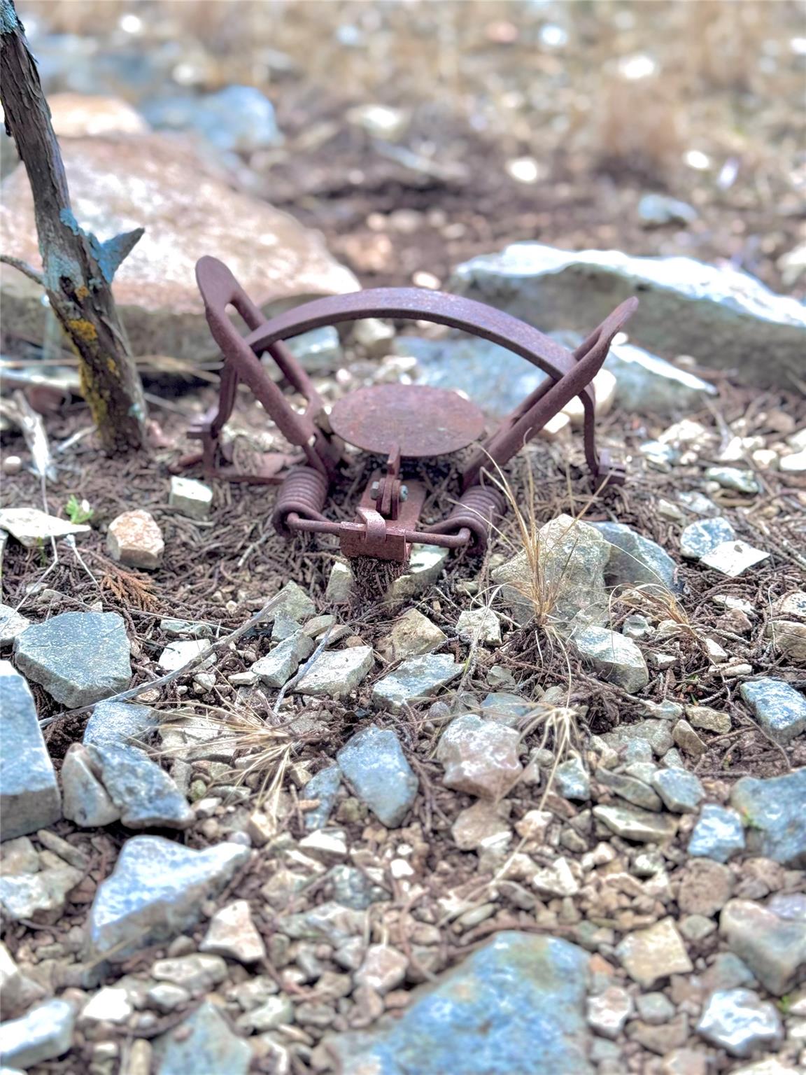 123 Fox Trail Dr, Center Point, TX 78013