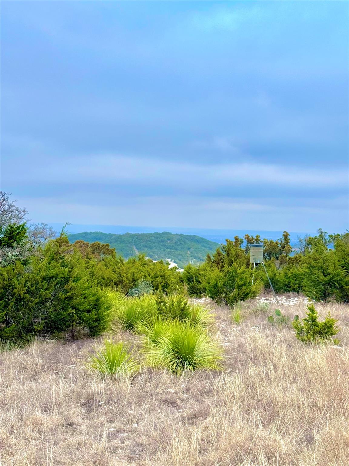 123 Fox Trail Dr, Center Point, TX 78013