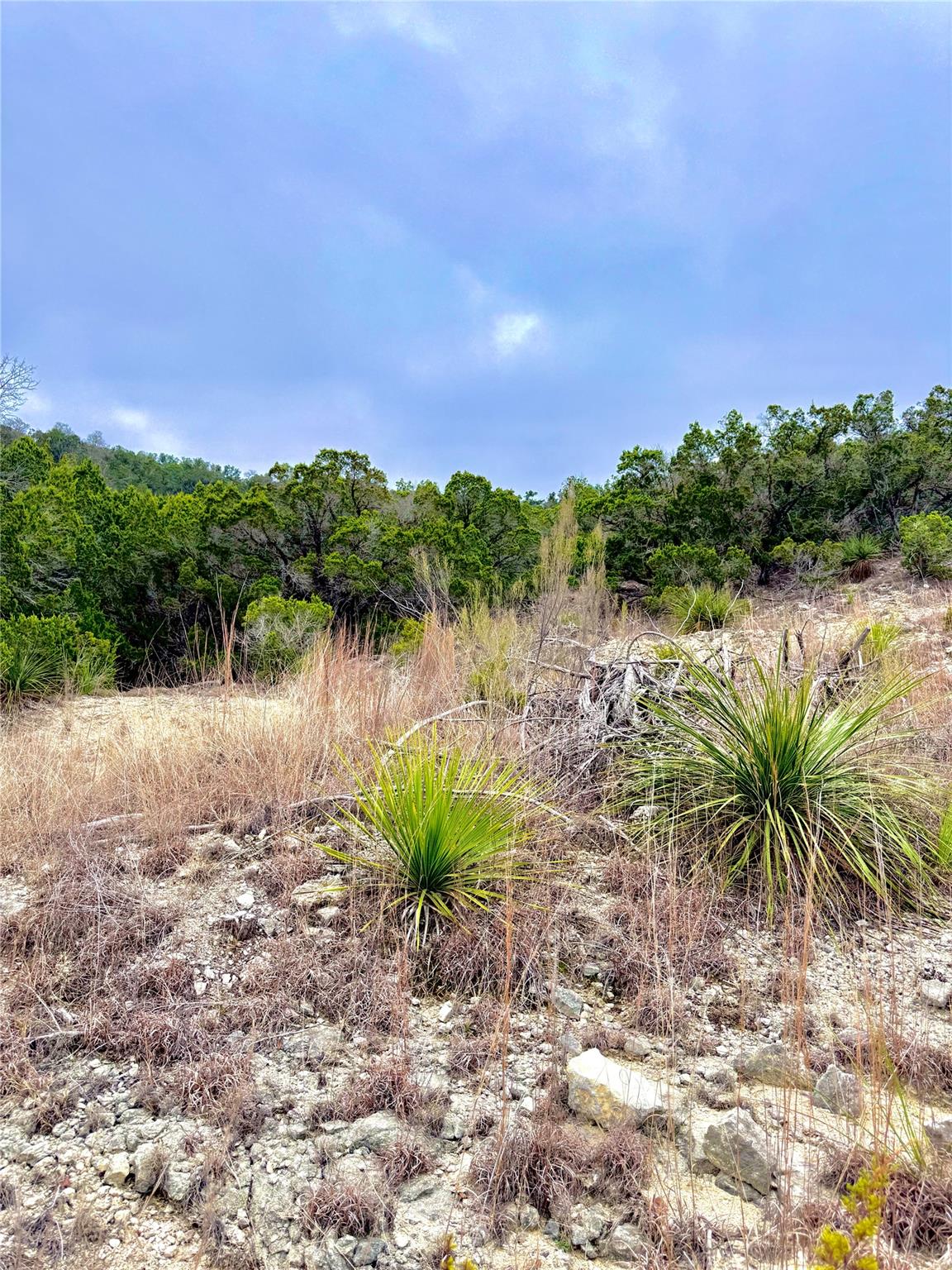 123 Fox Trail Dr, Center Point, TX 78013