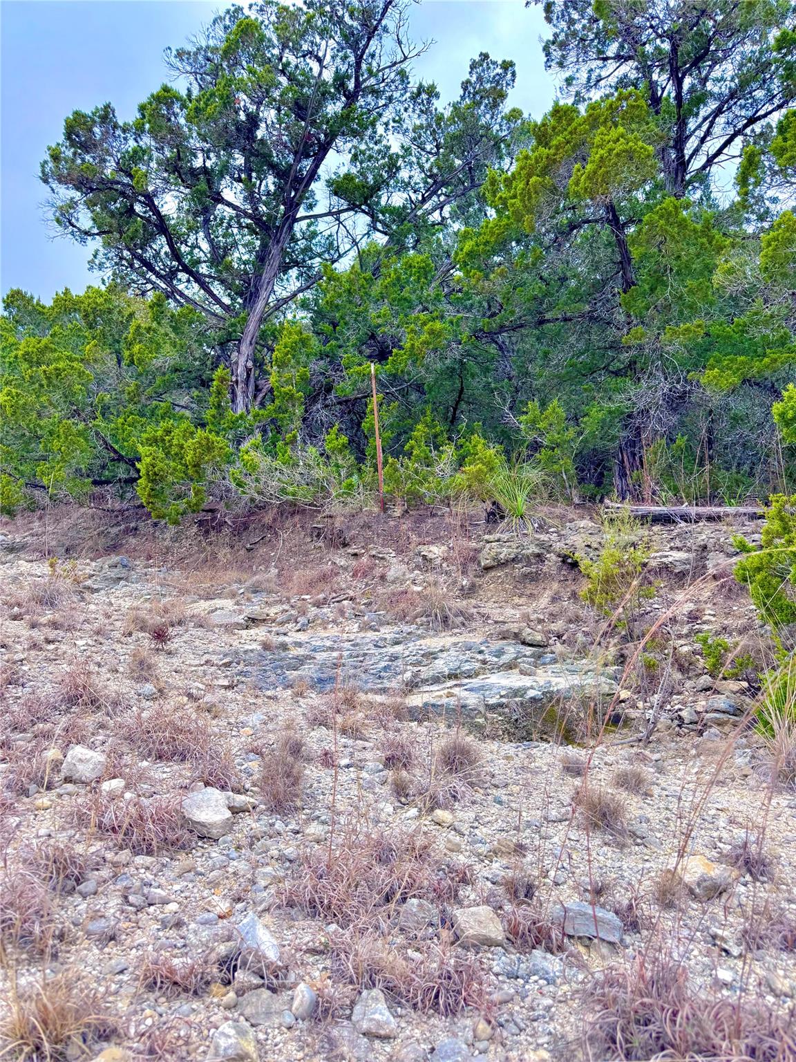 123 Fox Trail Dr, Center Point, TX 78013