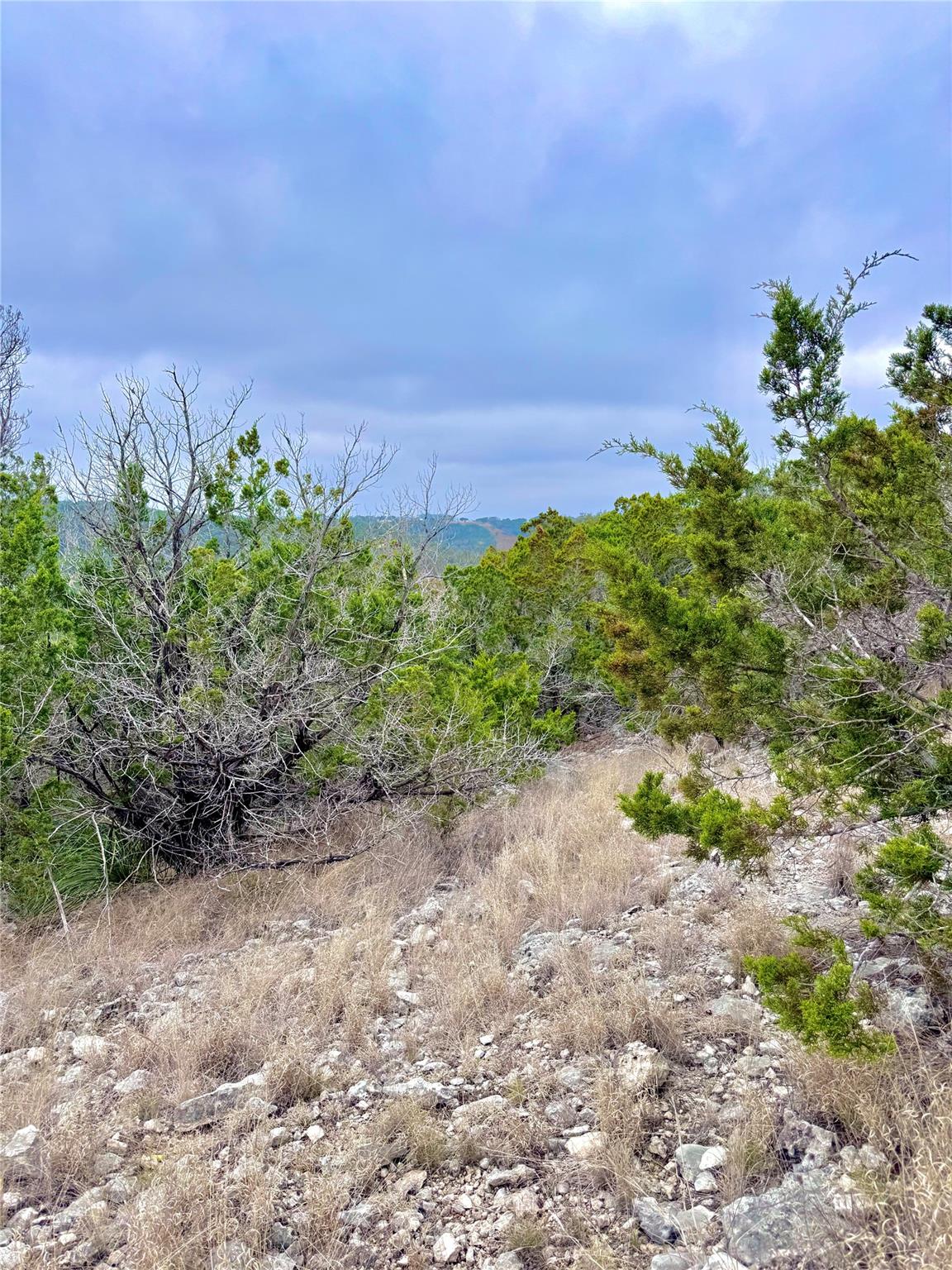 123 Fox Trail Dr, Center Point, TX 78013