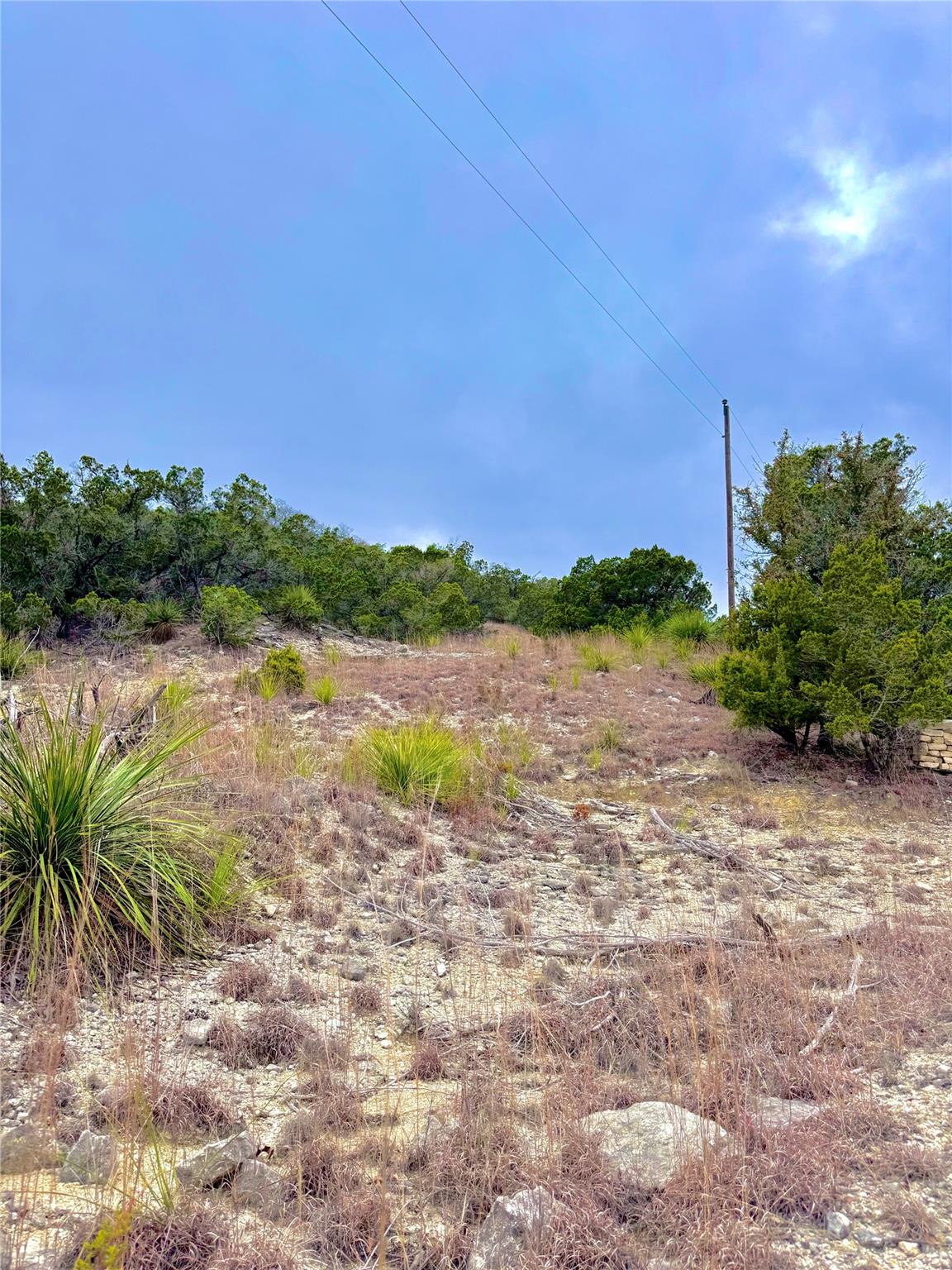 123 Fox Trail Dr, Center Point, TX 78013